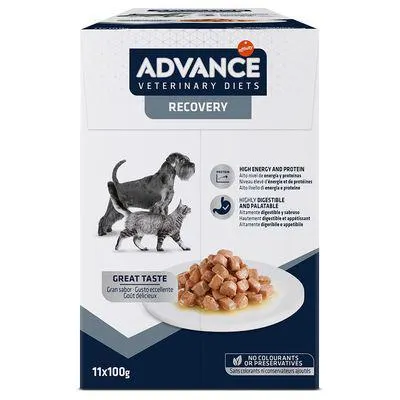 Advance Recovery Veterinary Diets comida húmida: 18 + 4 grátis!