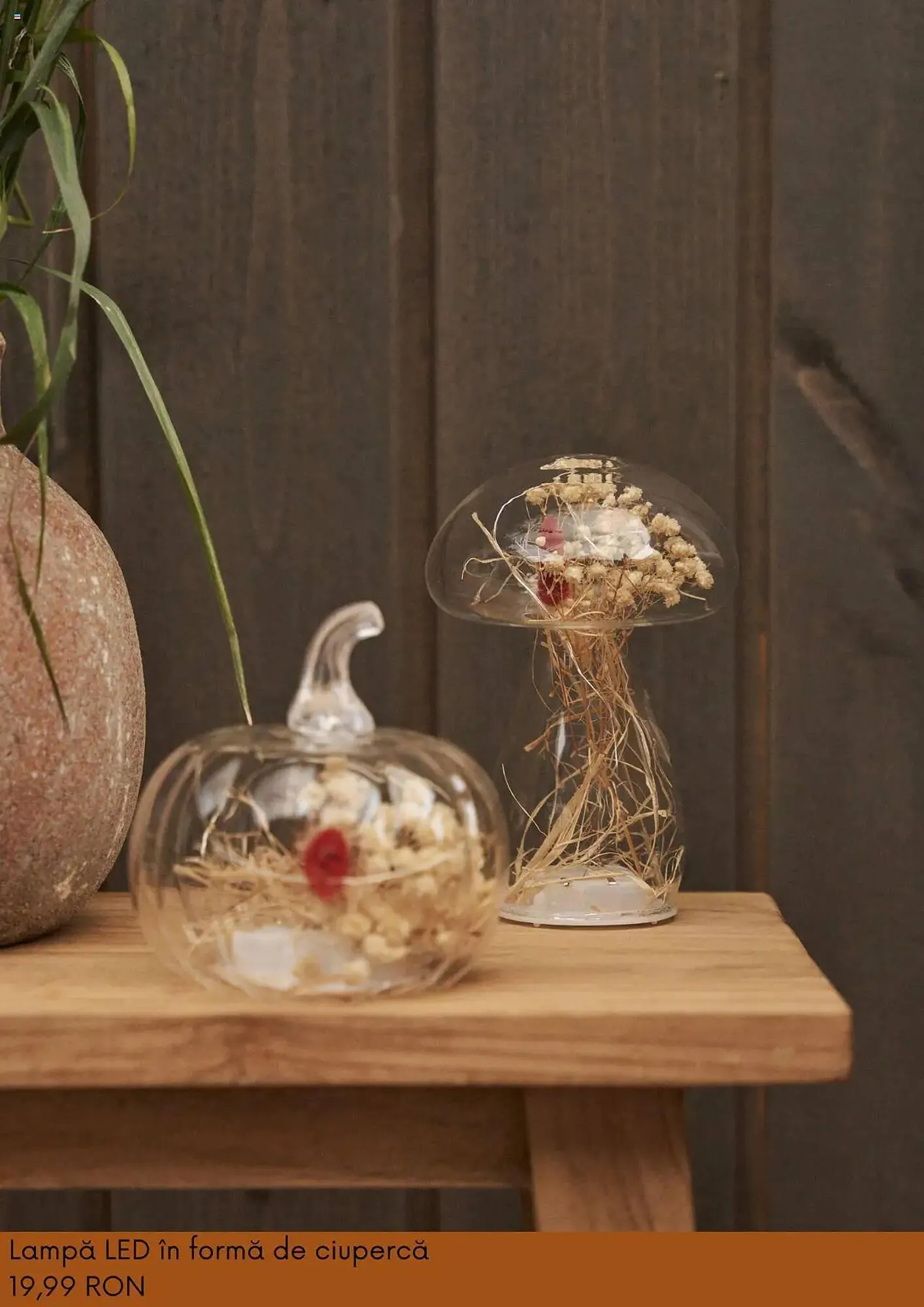 Catalog Catalog Sinsay de la 3 septembrie până la 6 octombrie 2025 - Revista Pagina 4