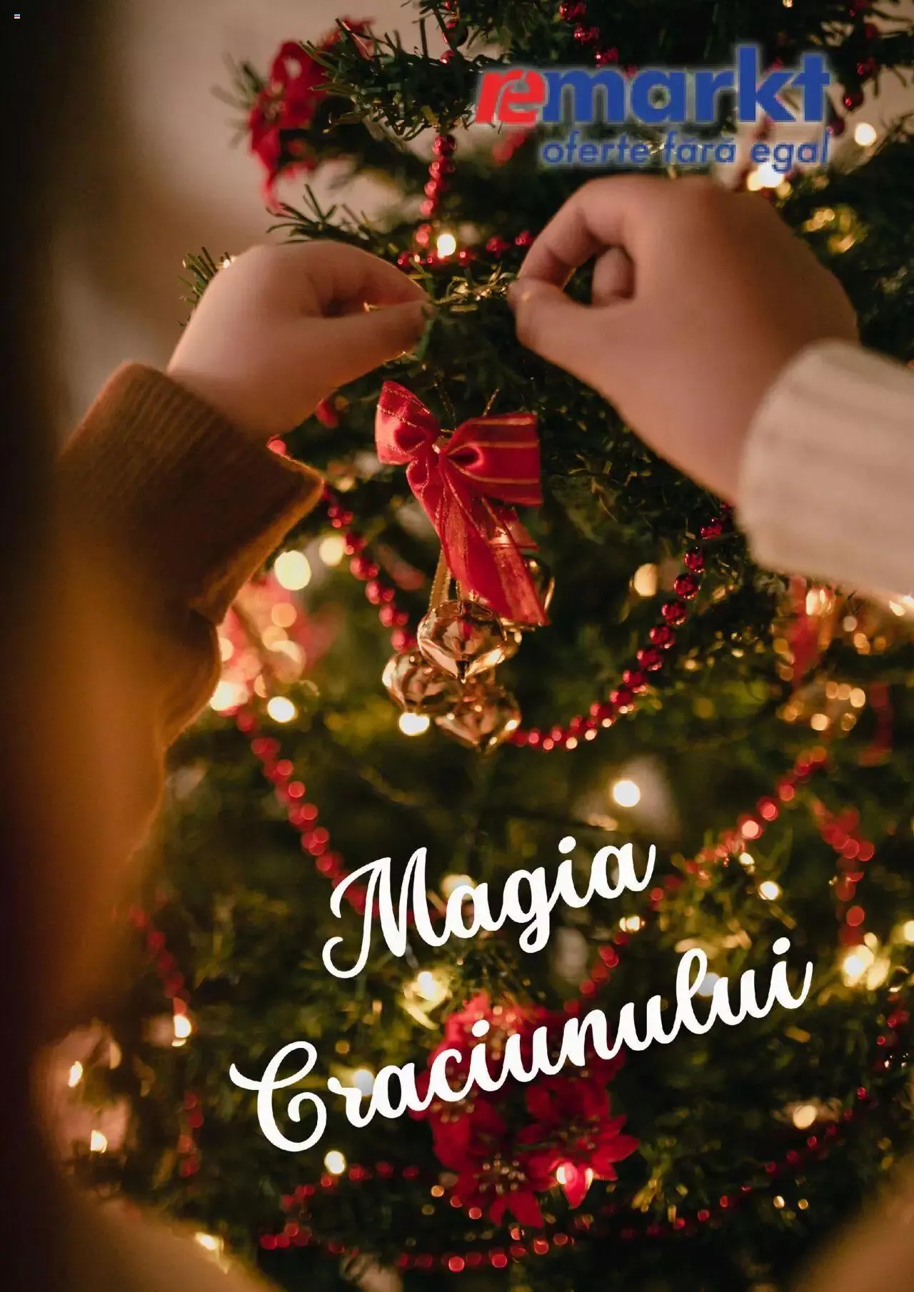 Catalog Catalog Remarkt de la 1 decembrie până la 2 ianuarie 2024 - Revista Pagina 