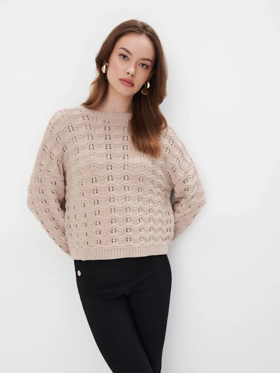 Pulover cu model tricotat deosebit