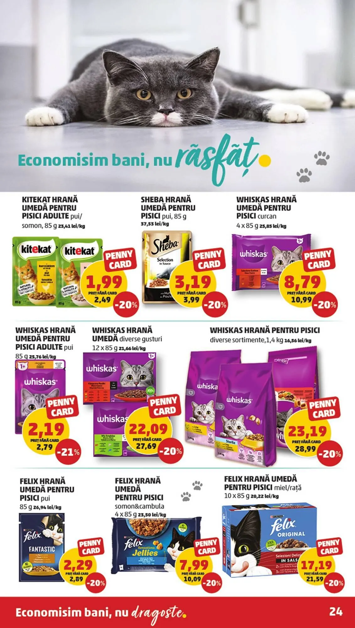 Catalog Penny catalog de la 6 decembrie până la 12 decembrie 2023 - Revista Pagina 24