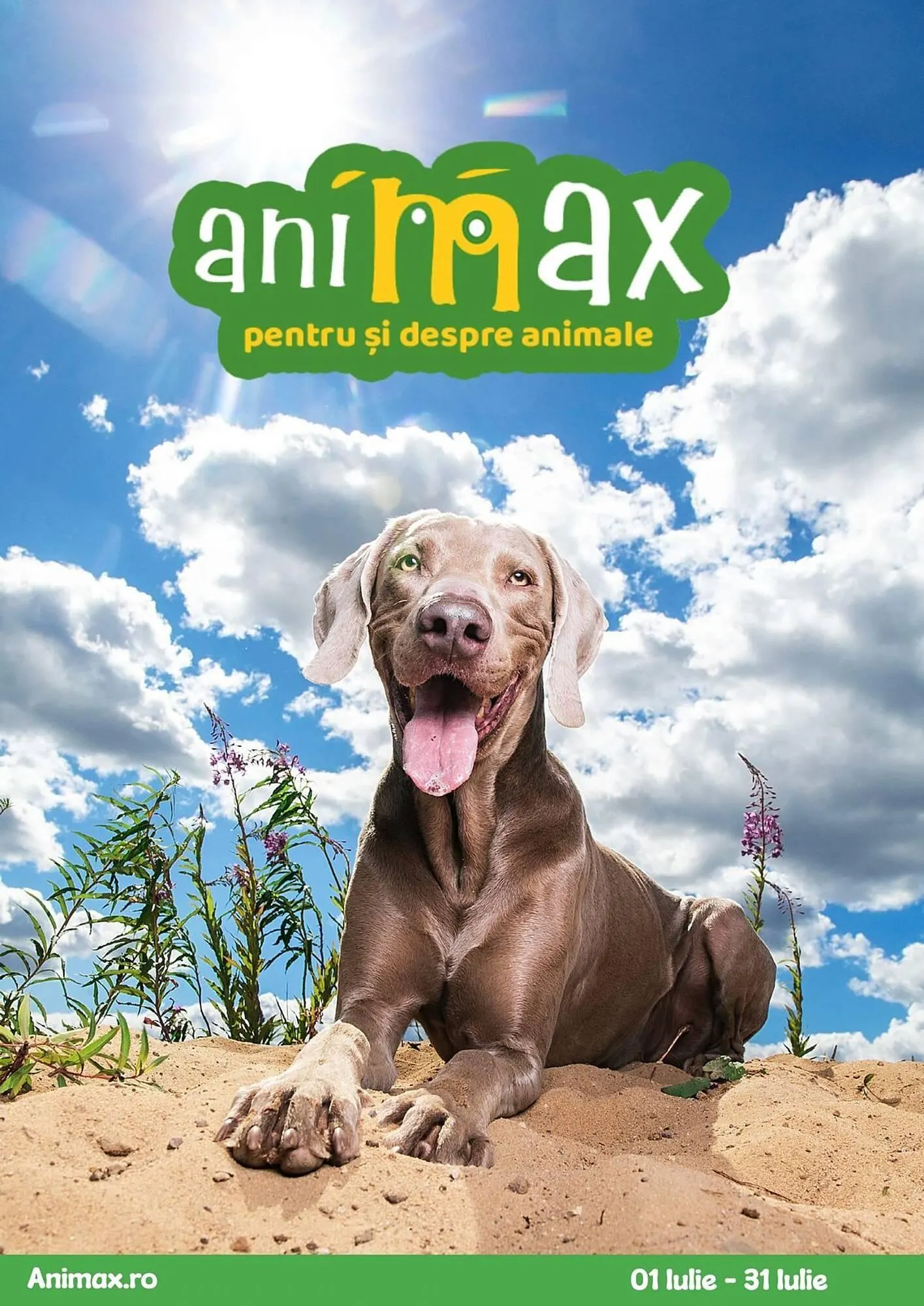 Catalog Catalog Animax de la 1 iulie până la 31 iulie 2025 - Revista Pagina 1