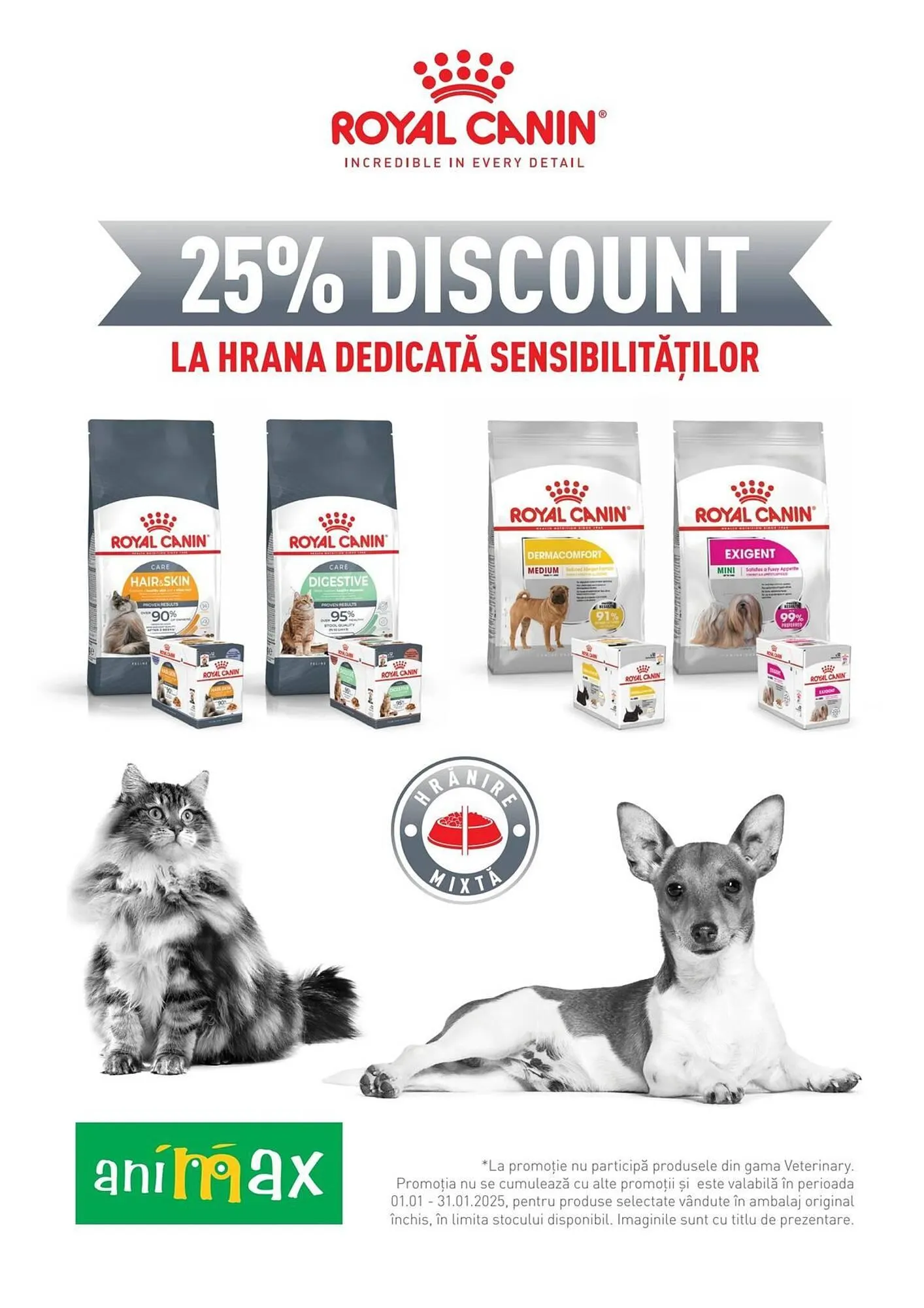 Catalog Catalog Animax de la 2 ianuarie până la 3 februarie 2025 - Revista Pagina 19