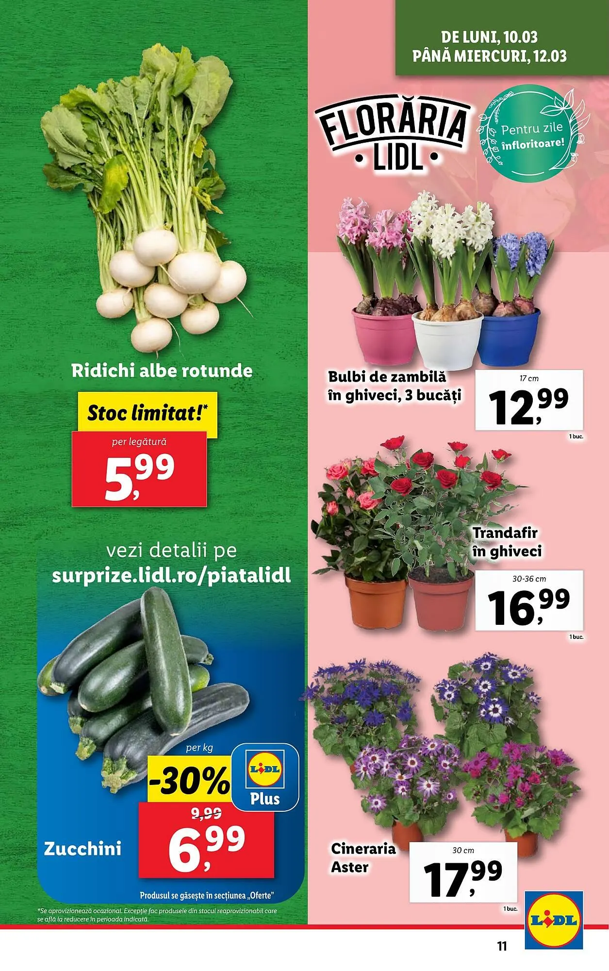 Catalog Catalog Lidl de la 10 martie până la 16 martie 2025 - Revista Pagina 11
