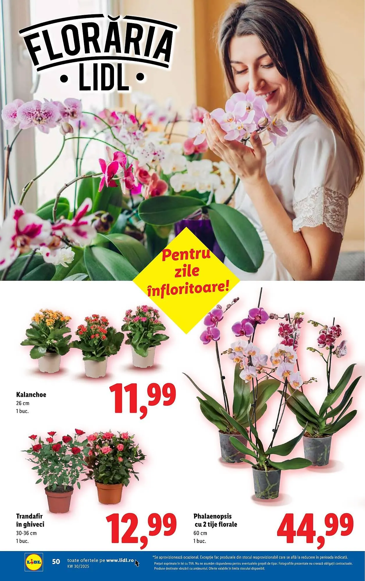 Catalog Catalog Lidl de la 21 iulie până la 27 iulie 2025 - Revista Pagina 50