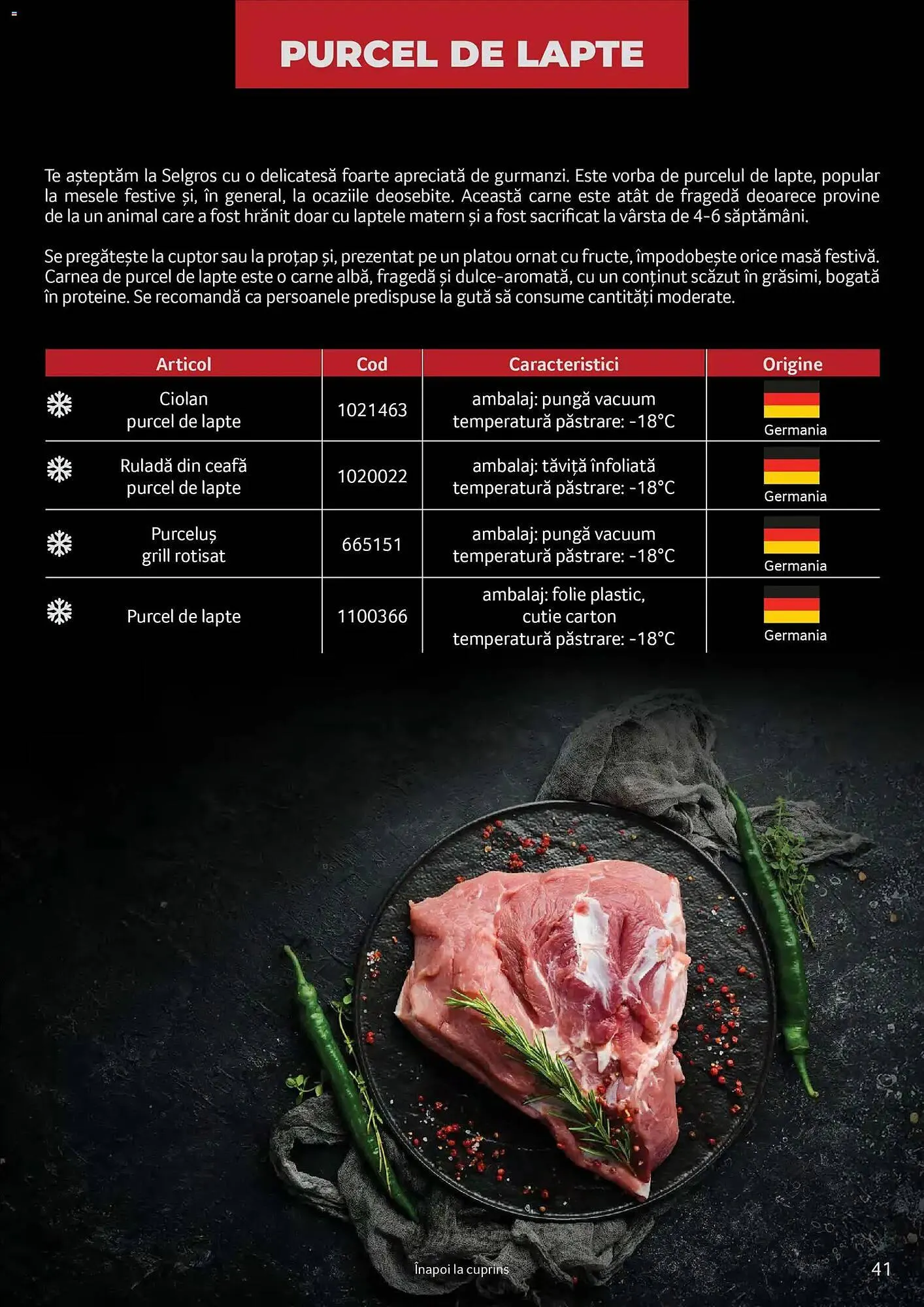 Catalog Catalog Selgros de la 24 martie până la 31 martie 2027 - Revista Pagina 41