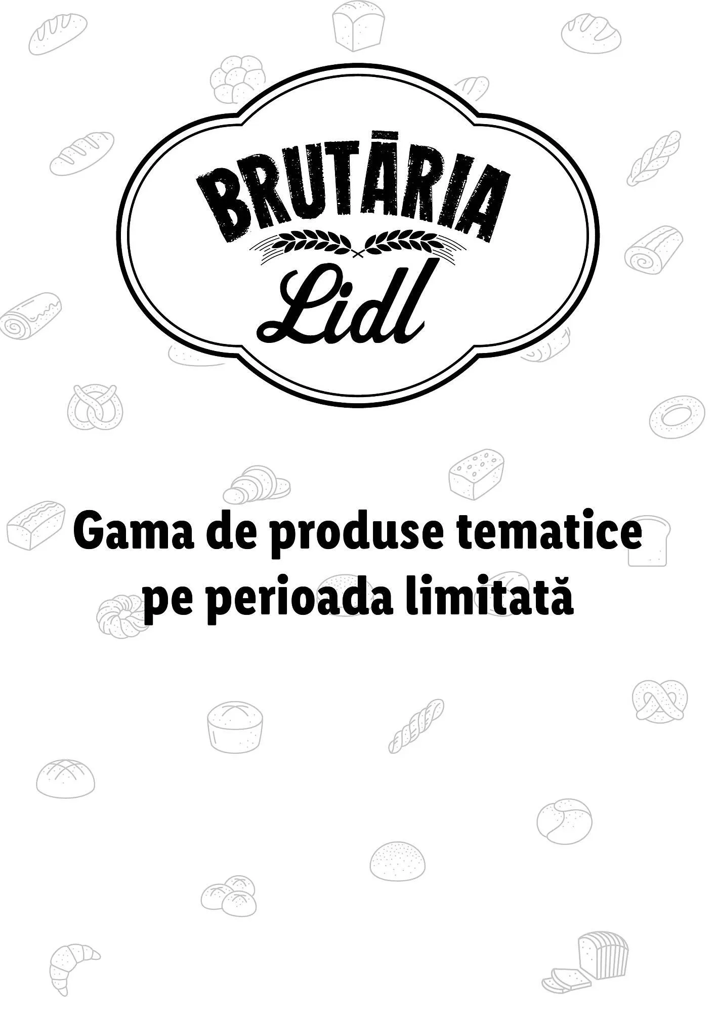 Catalog Lidl catalog de la 21 noiembrie până la 31 decembrie 2023 - Revista Pagina 17