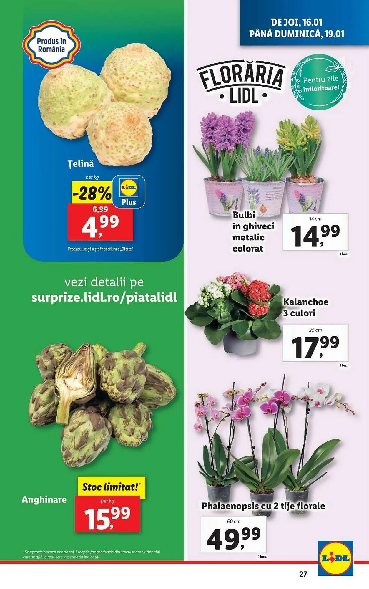 Catalog Catalog Lidl de la 13 ianuarie până la 19 ianuarie 2025 - Revista Pagina 27