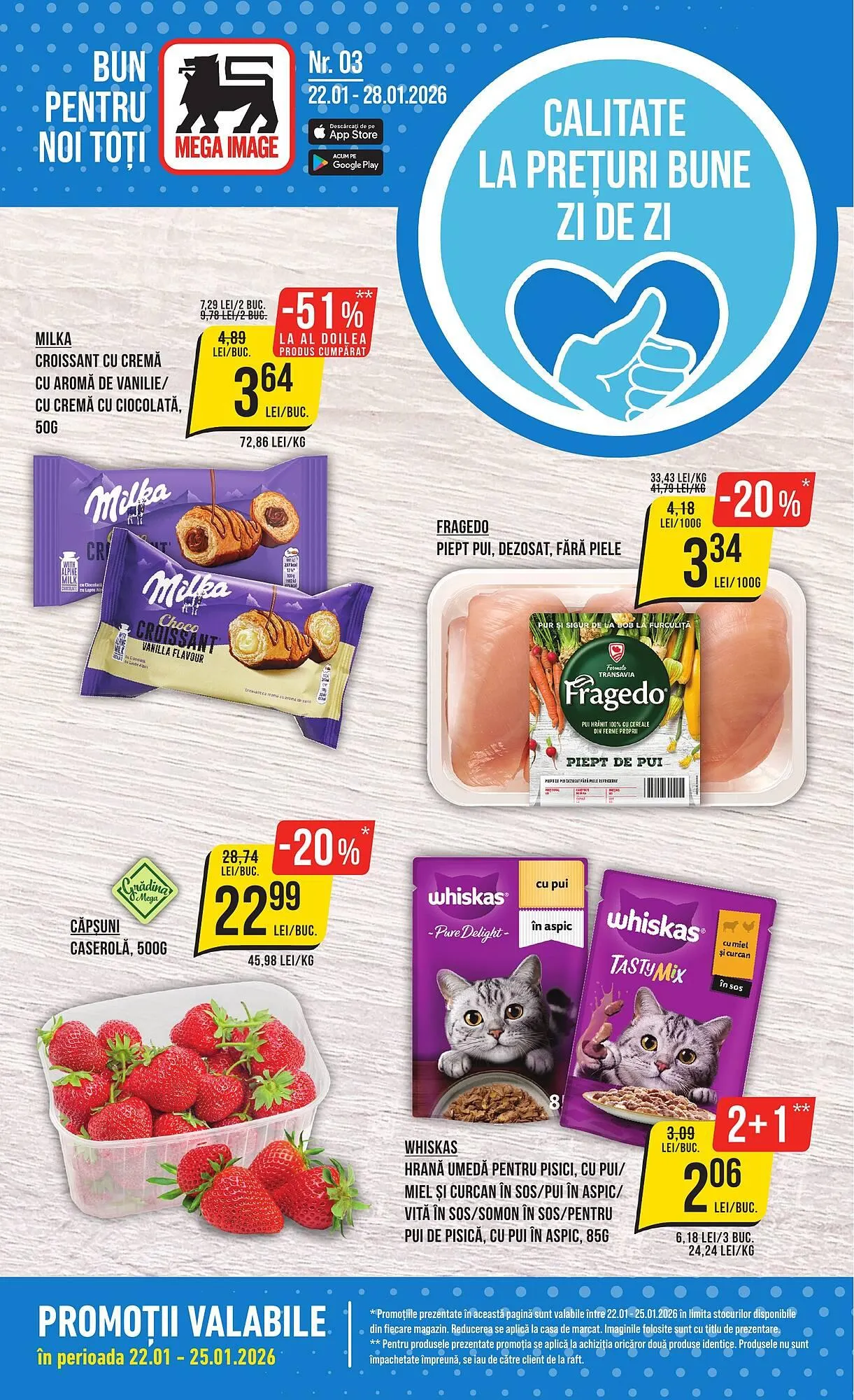 Catalog Mega Image - 1