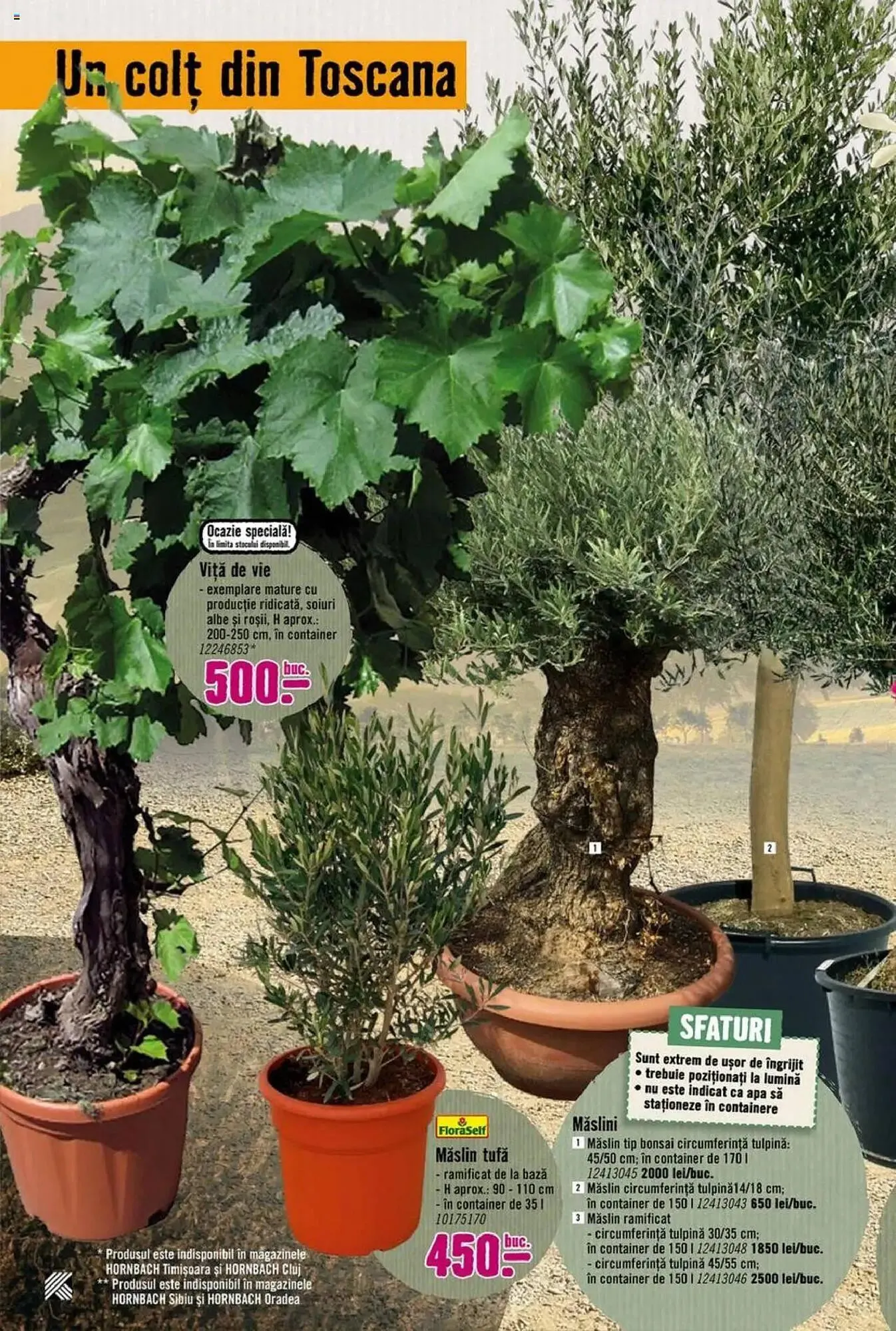 Catalog Catalog Hornbach de la 17 martie până la 25 aprilie 2025 - Revista Pagina 78