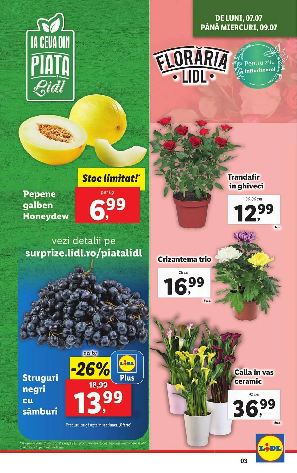 Catalog Catalog Lidl de la 7 iulie până la 13 iulie 2025 - Revista Pagina 3