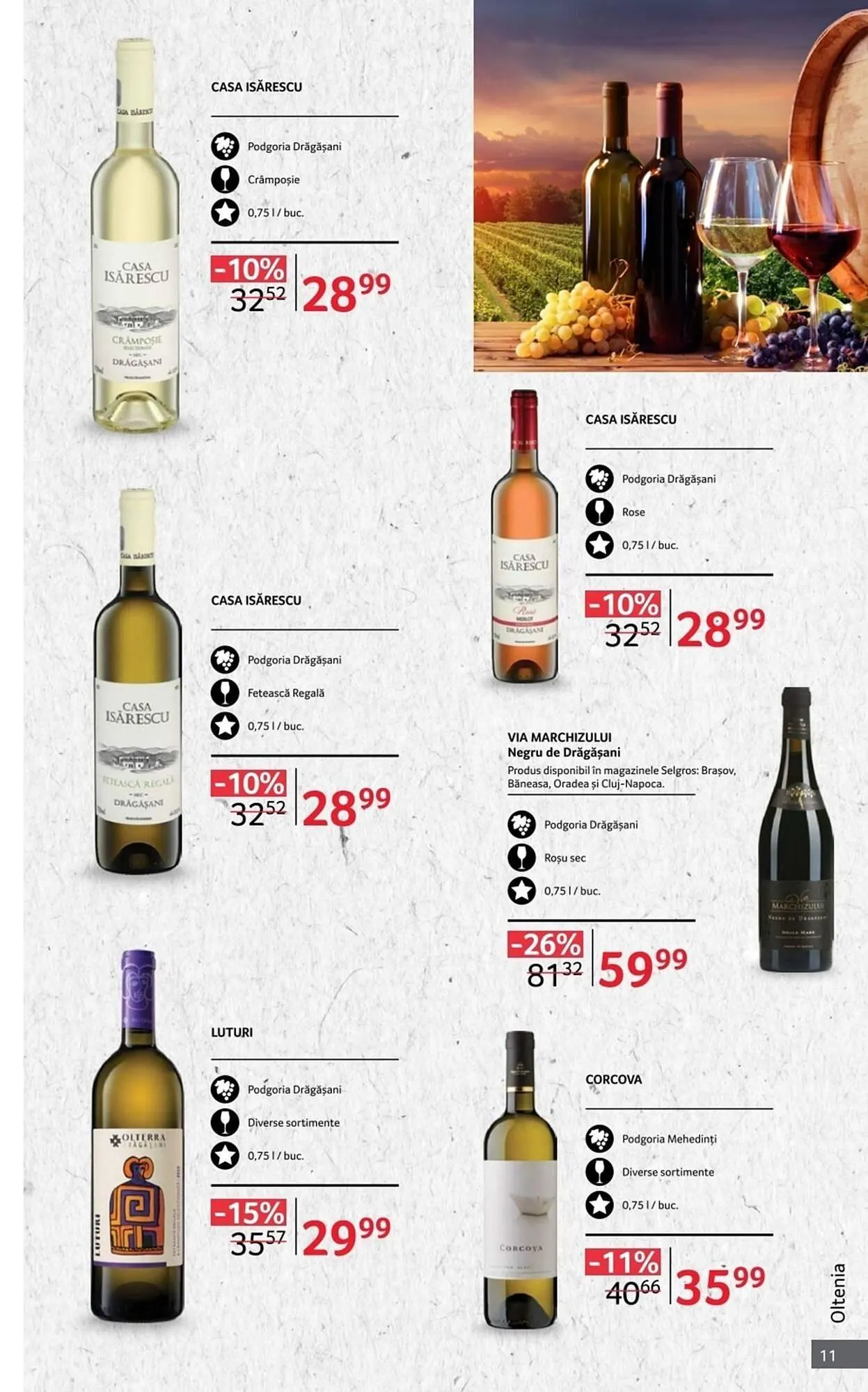 Catalog Catalog Selgros de la 1 octombrie până la 31 octombrie 2025 - Revista Pagina 11