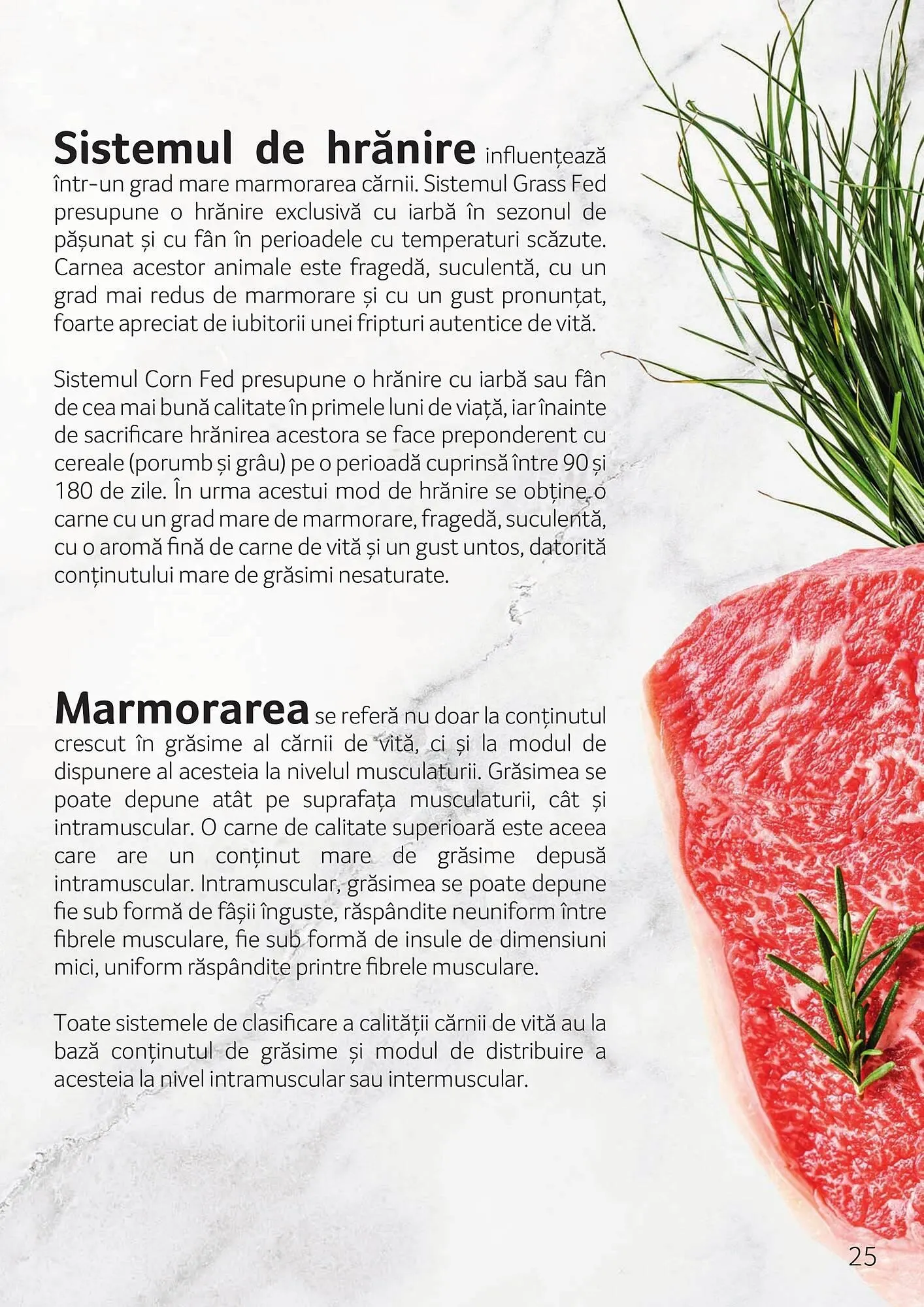 Catalog Catalog Selgros de la 3 octombrie până la 30 noiembrie 2025 - Revista Pagina 25