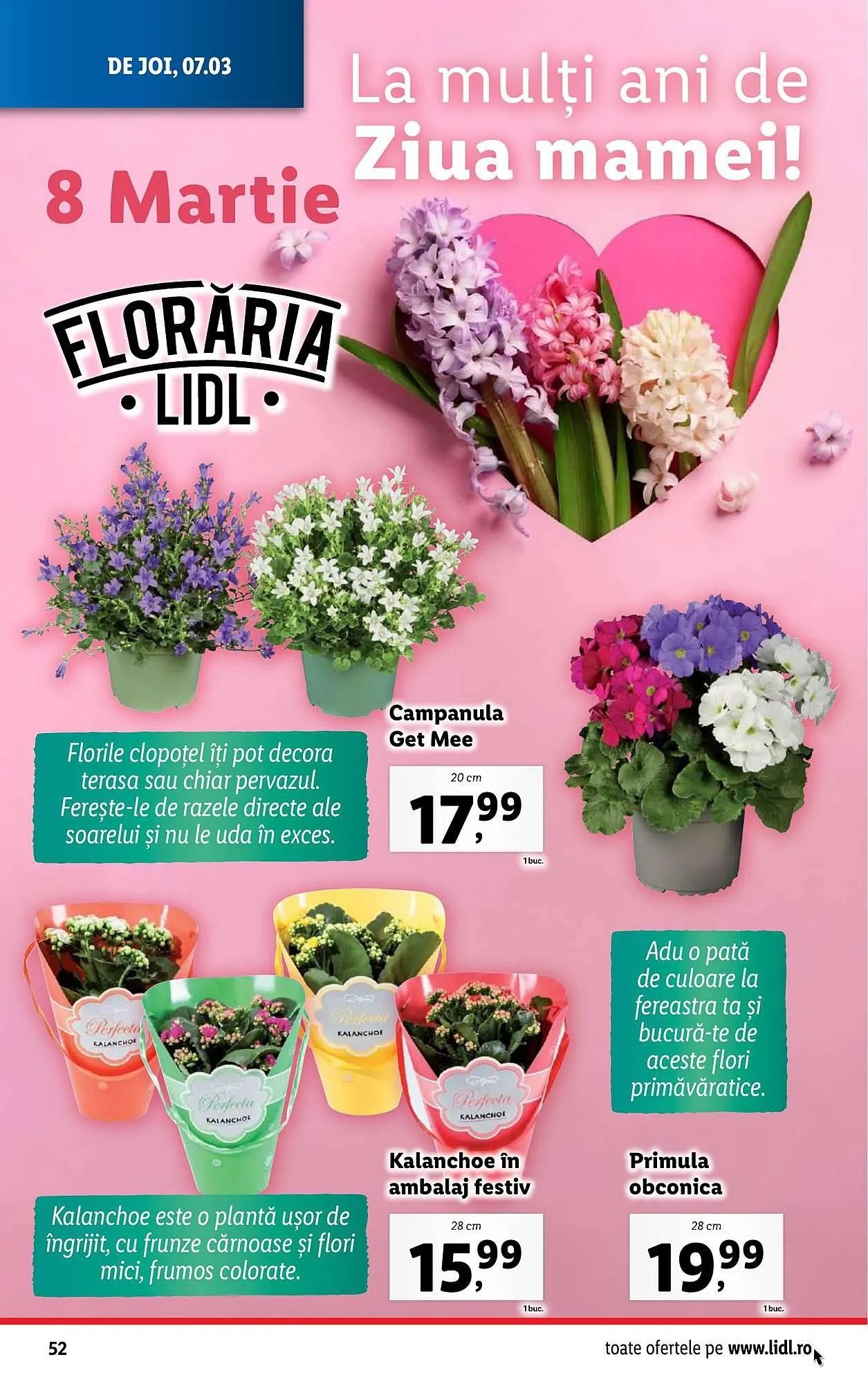 Catalog Lidl catalog de la 4 martie până la 10 martie 2024 - Revista Pagina 52