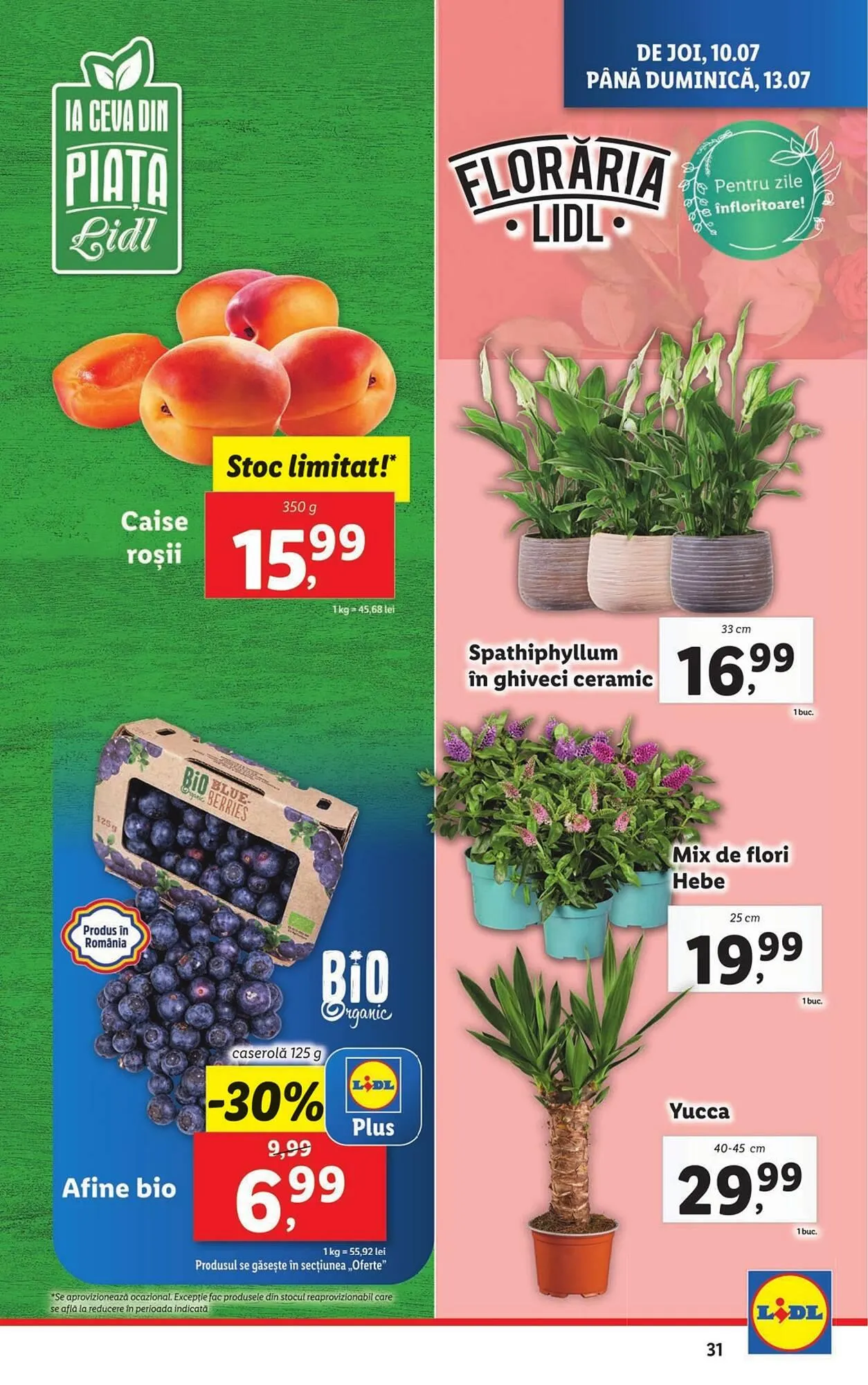 Catalog Catalog Lidl de la 7 iulie până la 13 iulie 2025 - Revista Pagina 31
