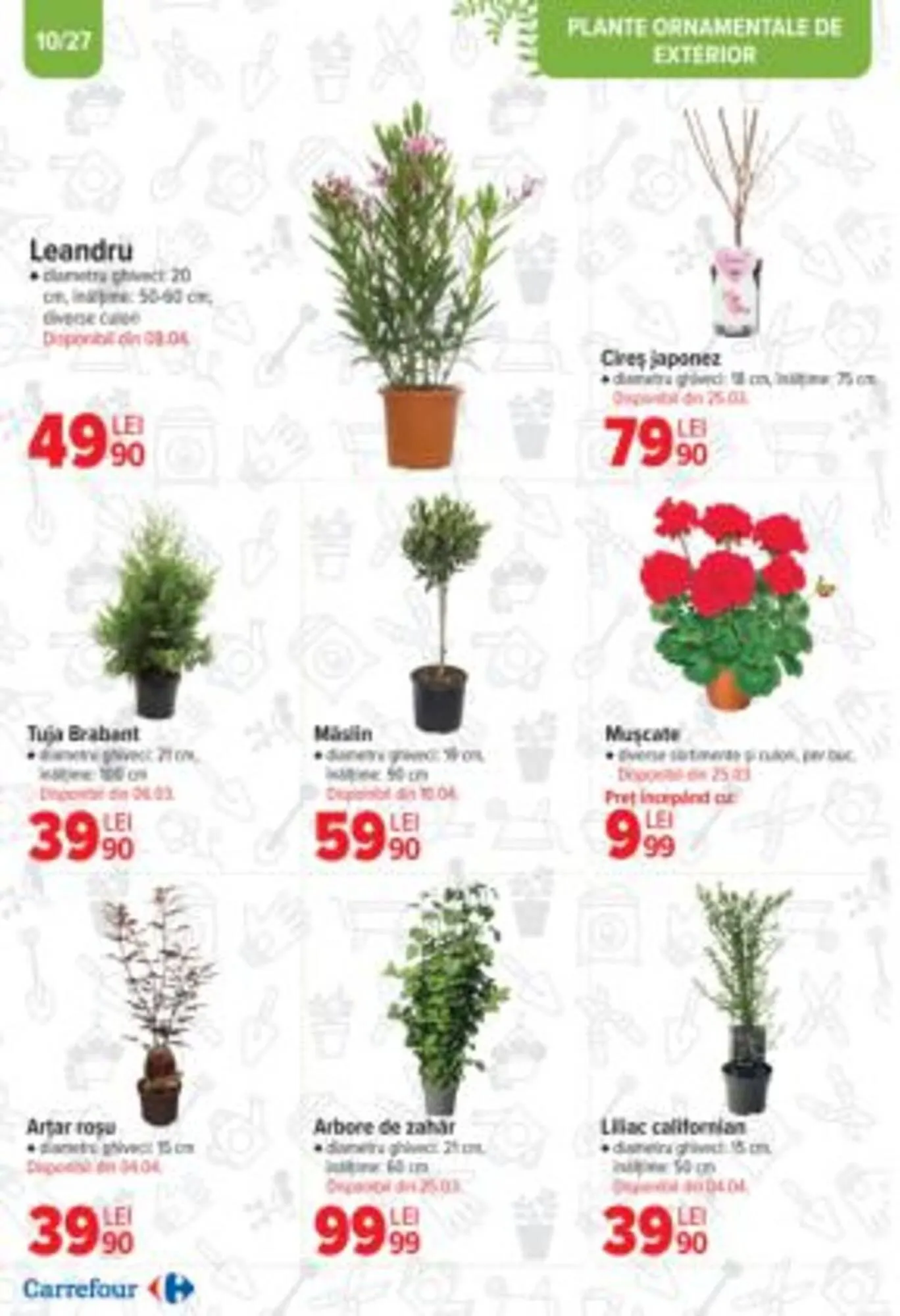 Catalog Catalog Carrefour de la 19 martie până la 15 aprilie 2025 - Revista Pagina 6