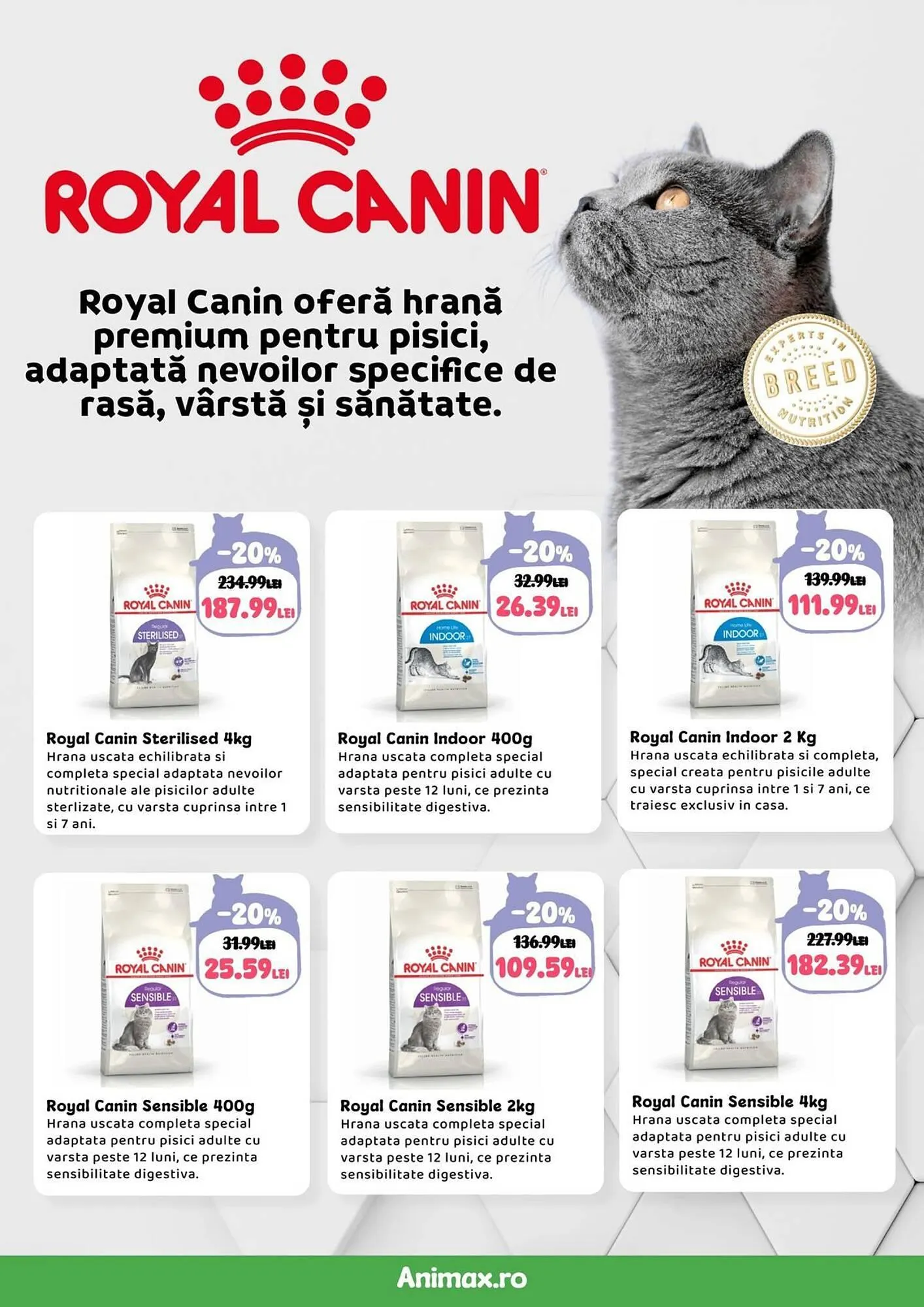 Catalog Magazine Animax de la 4 decembrie până la 4 ianuarie 2026 - Revista Pagina 17