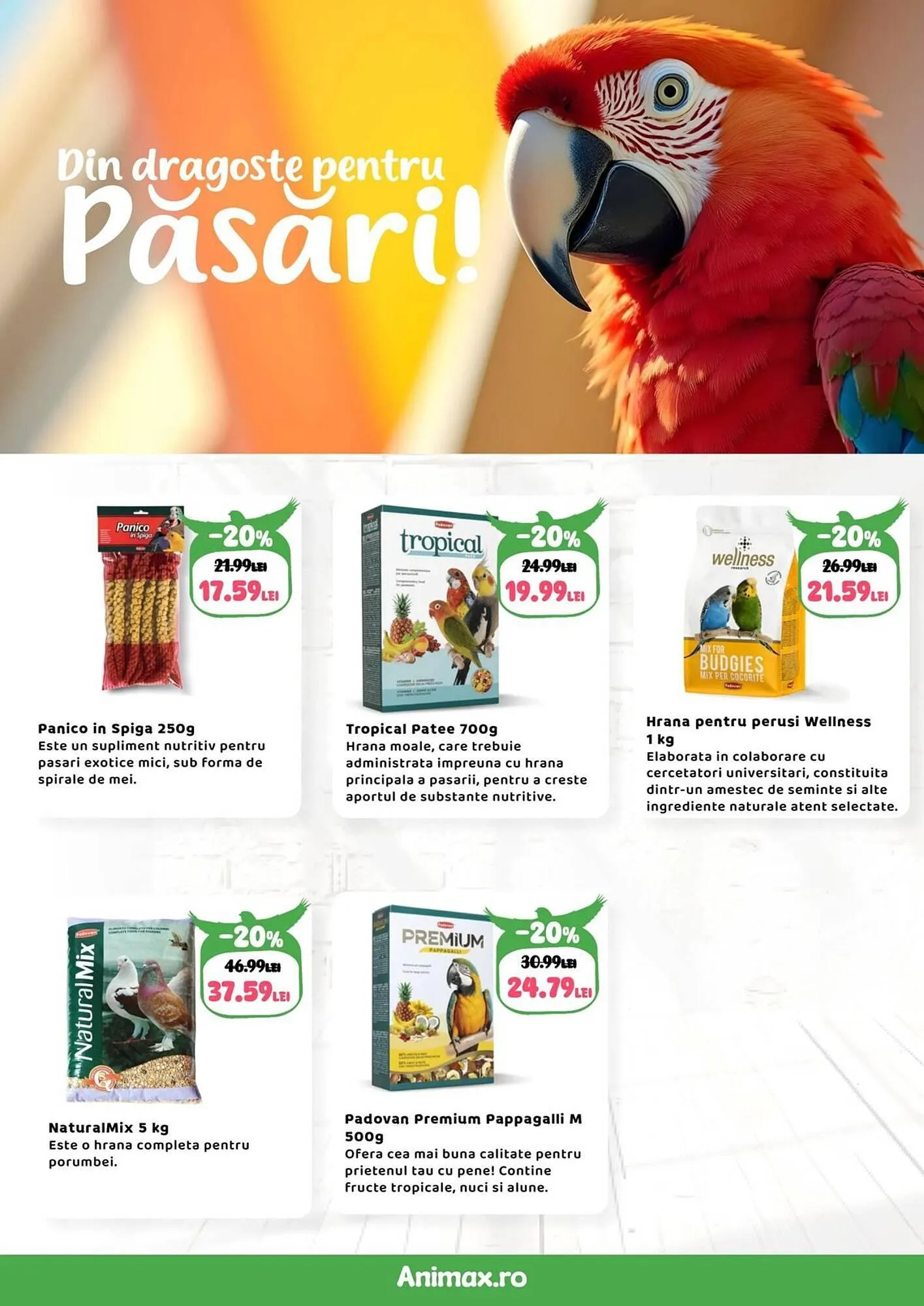 Catalog Catalog Animax de la 1 iulie până la 31 iulie 2025 - Revista Pagina 21