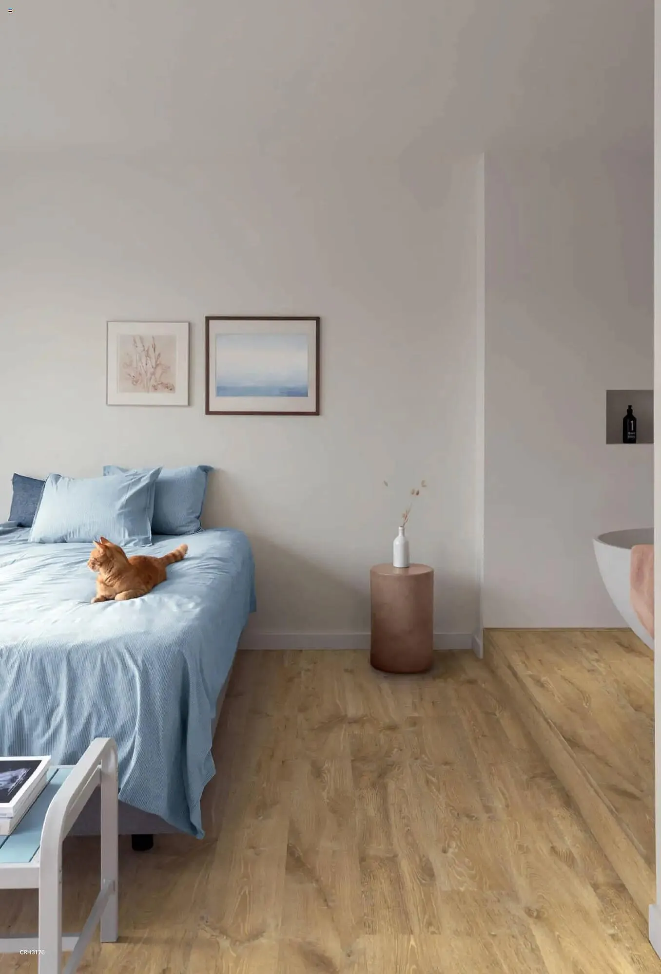 Catalog Catalog Proges de la 3 noiembrie până la 31 ianuarie 2027 - Revista Pagina 62