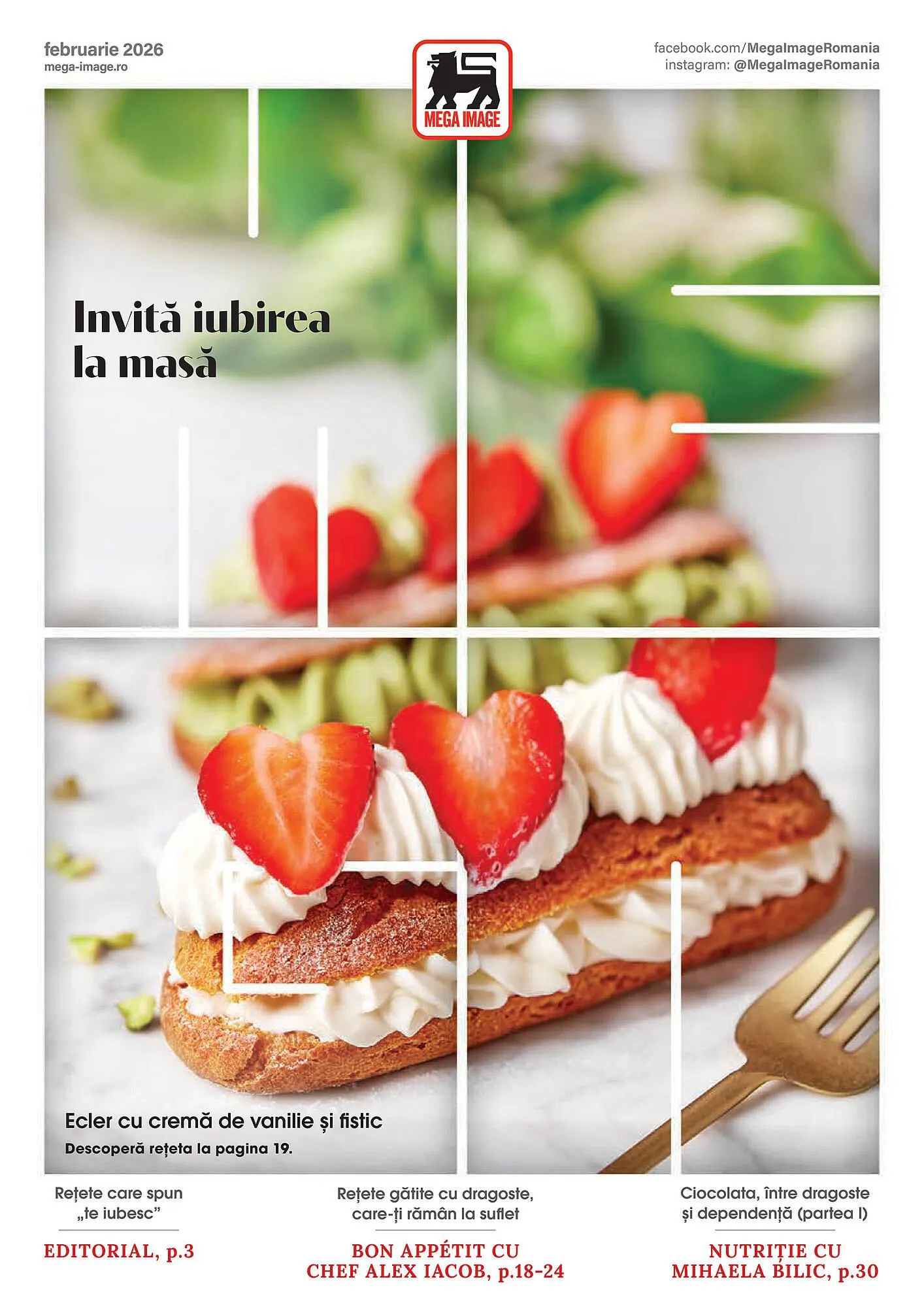 Catalog Mega Image - 1