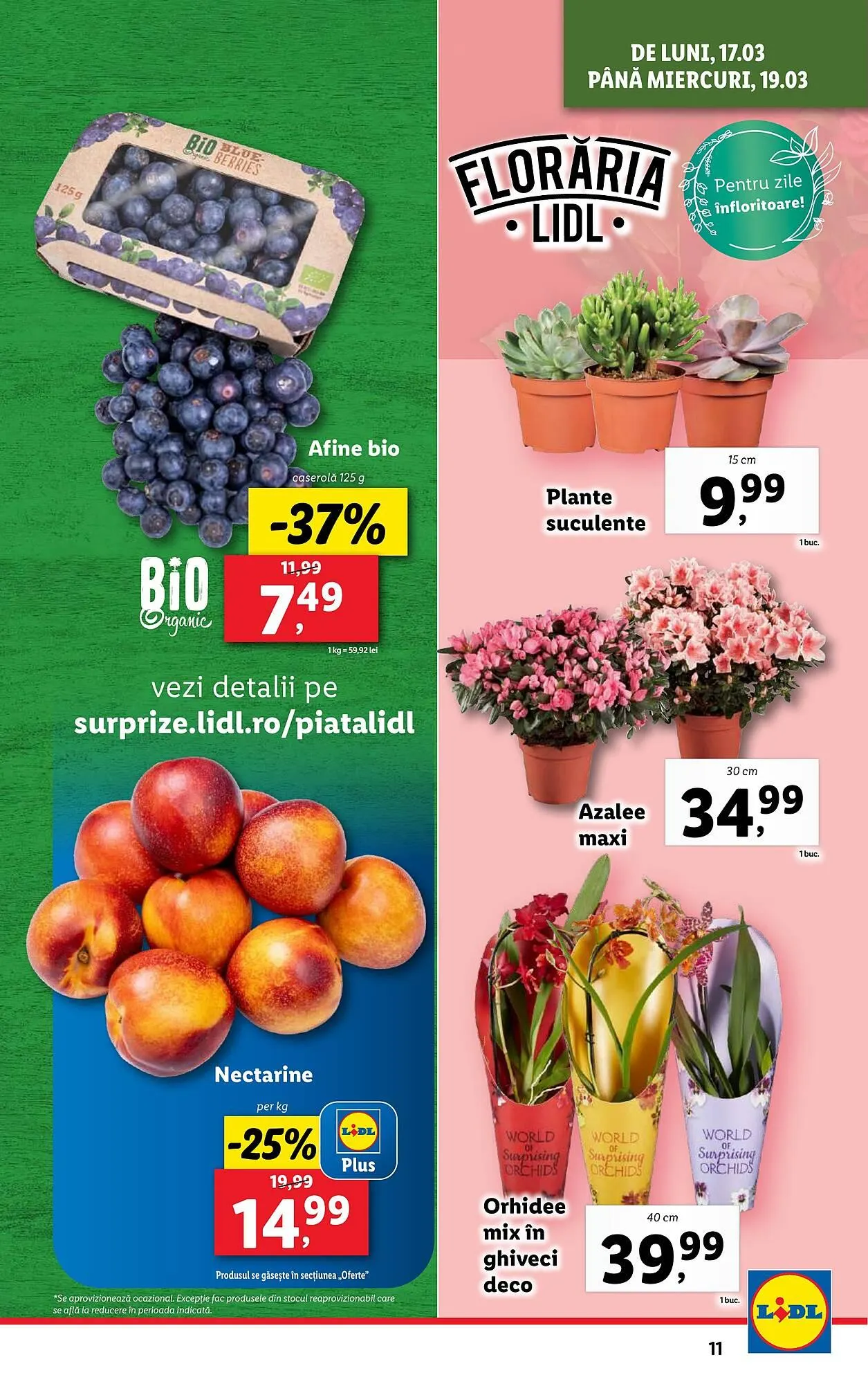 Catalog Catalog Lidl de la 17 martie până la 23 martie 2025 - Revista Pagina 11