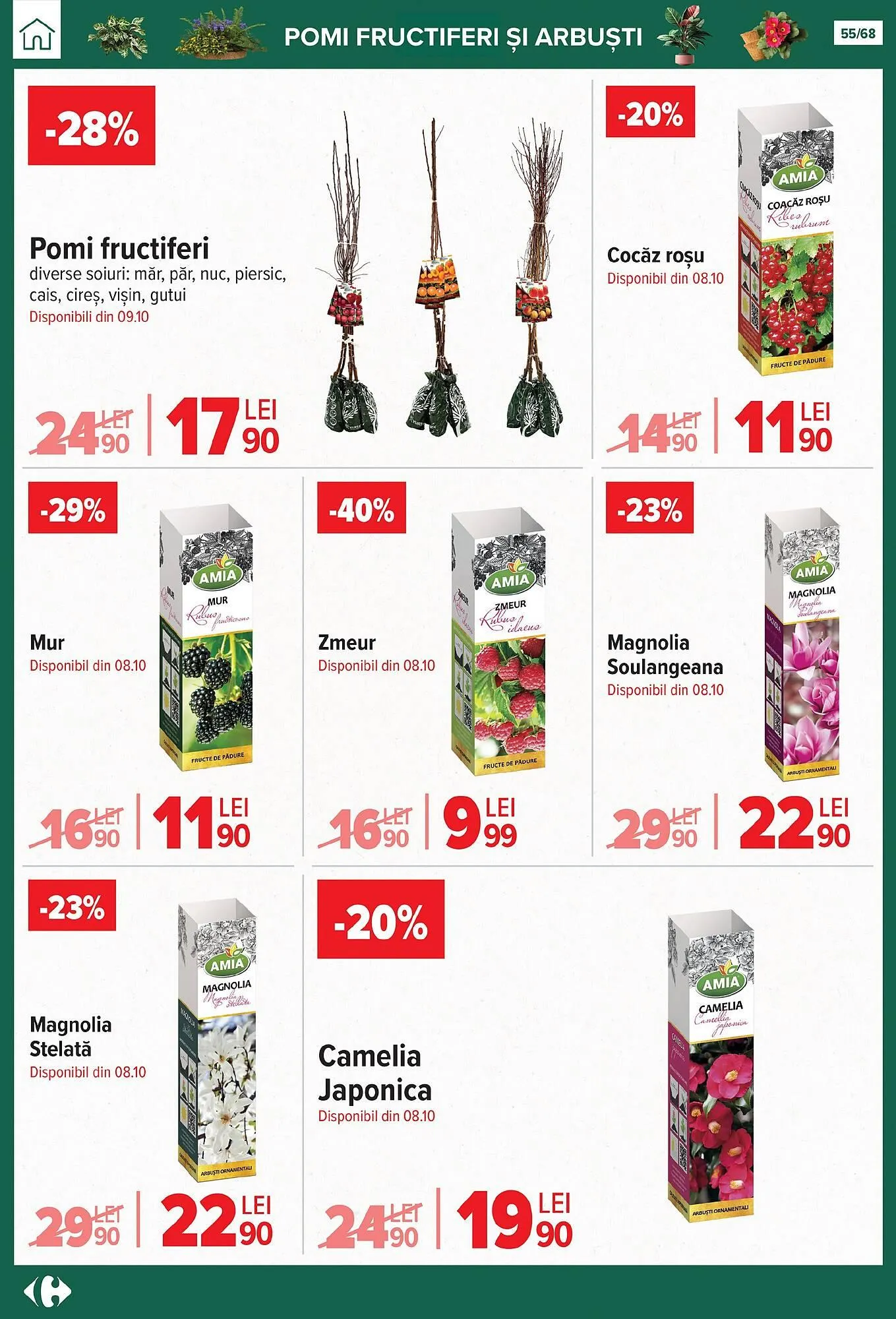 Catalog Catalog Carrefour de la 24 septembrie până la 28 octombrie 2025 - Revista Pagina 55