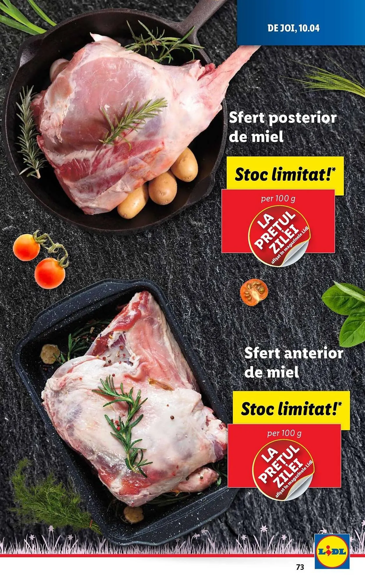 Catalog Catalog Lidl de la 7 aprilie până la 13 aprilie 2025 - Revista Pagina 73