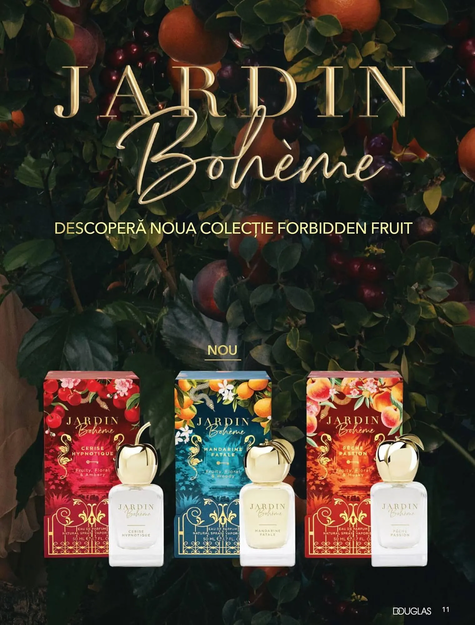 Catalog Catalog Douglas de la 13 mai până la 26 mai 2025 - Revista Pagina 11