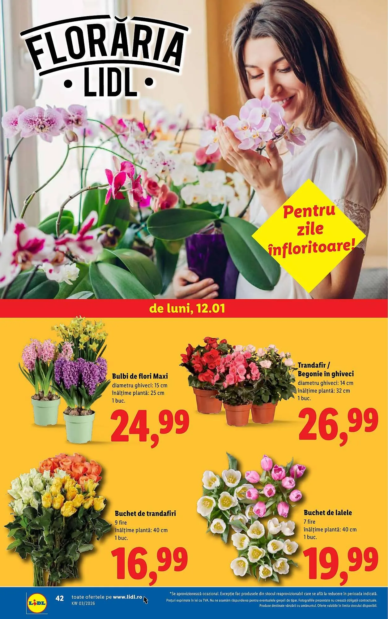 Catalog Catalog Lidl de la 12 ianuarie până la 18 ianuarie 2026 - Revista Pagina 42