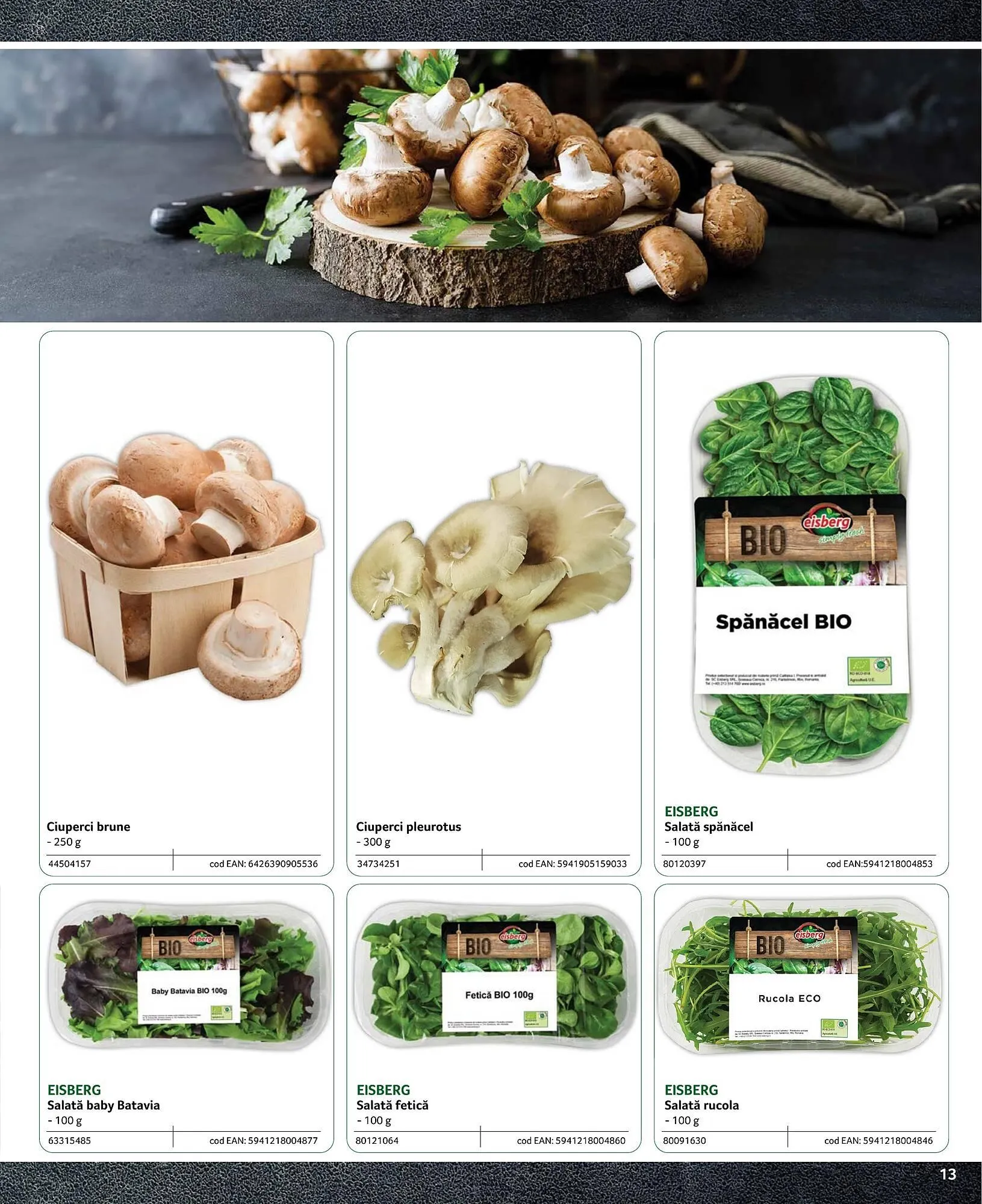 Catalog Catalog Selgros de la 20 iunie până la 30 noiembrie 2025 - Revista Pagina 13