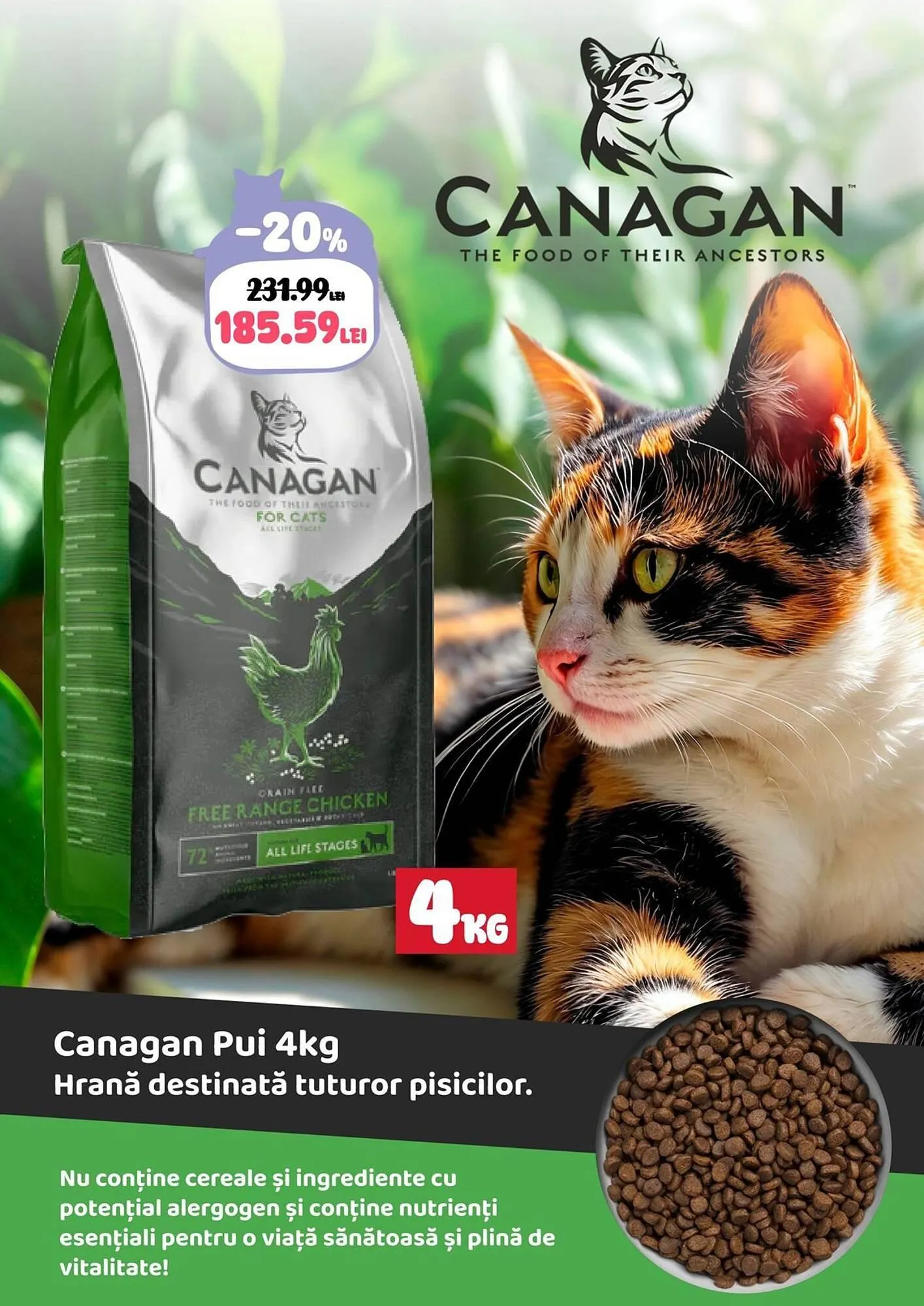 Catalog Catalog Animax de la 1 aprilie până la 30 aprilie 2025 - Revista Pagina 21