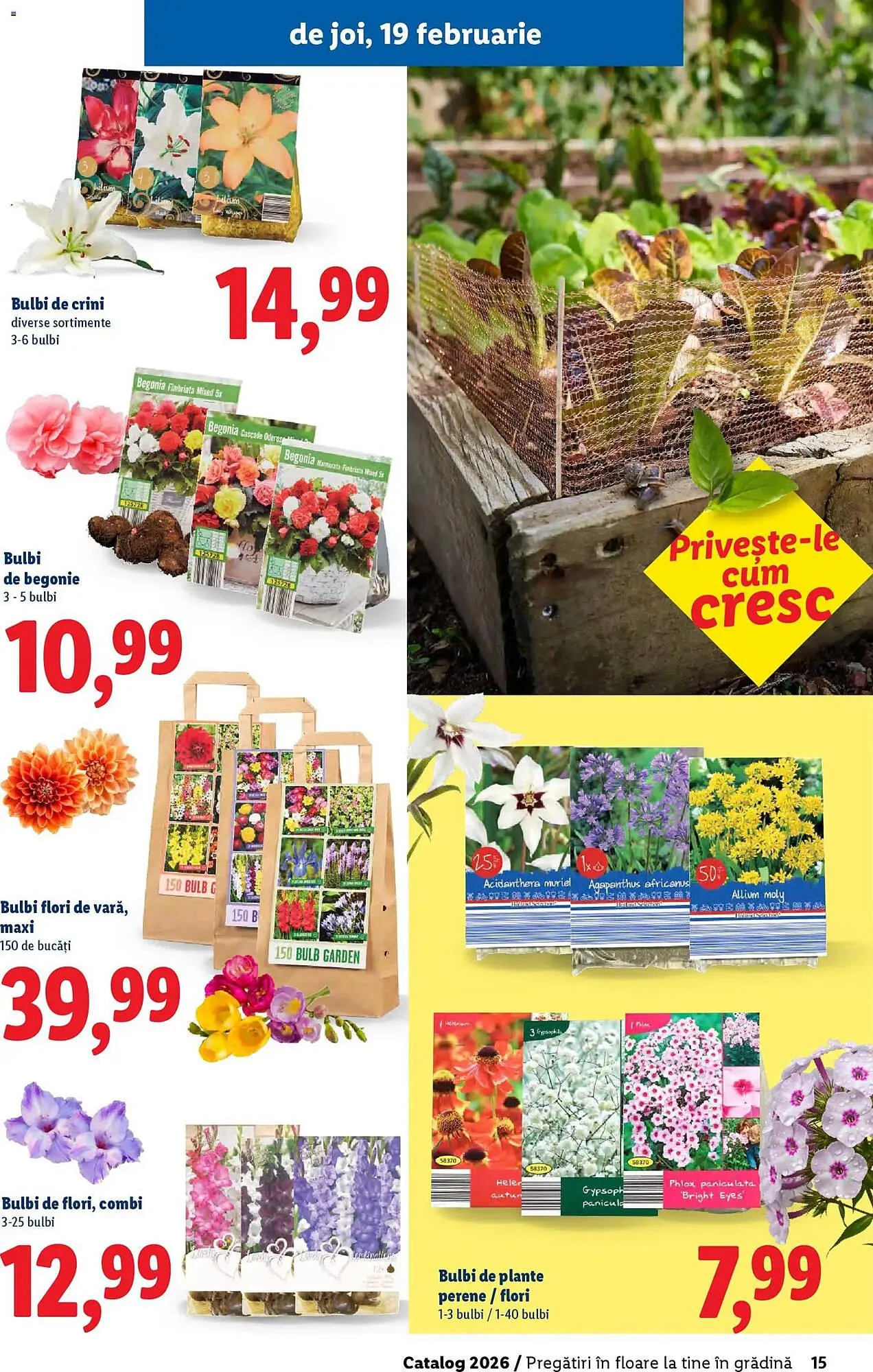 Catalog Catalog Lidl de la 18 februarie până la 5 aprilie 2026 - Revista Pagina 15