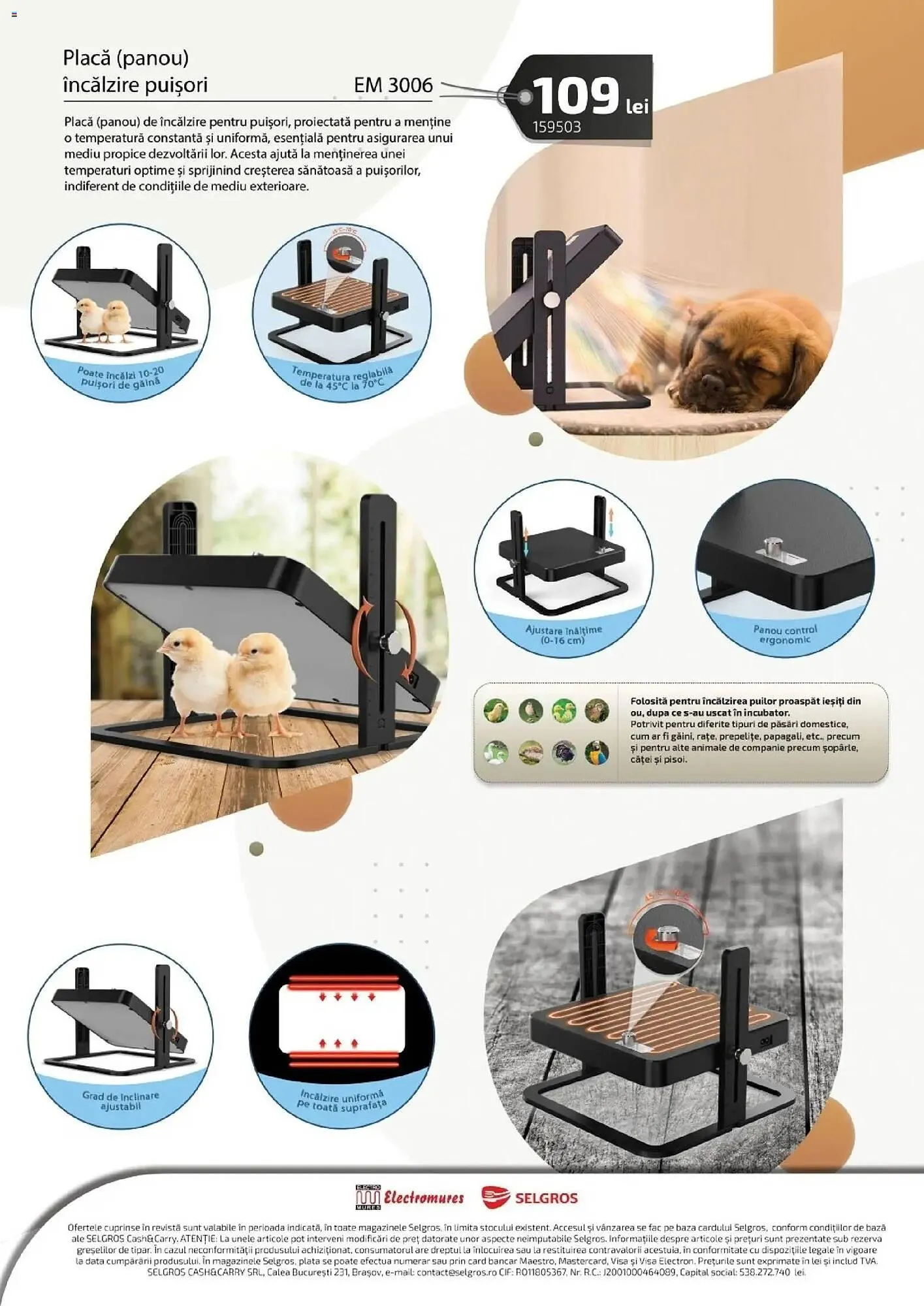 Catalog Catalog Selgros de la 13 martie până la 21 mai 2026 - Revista Pagina 6