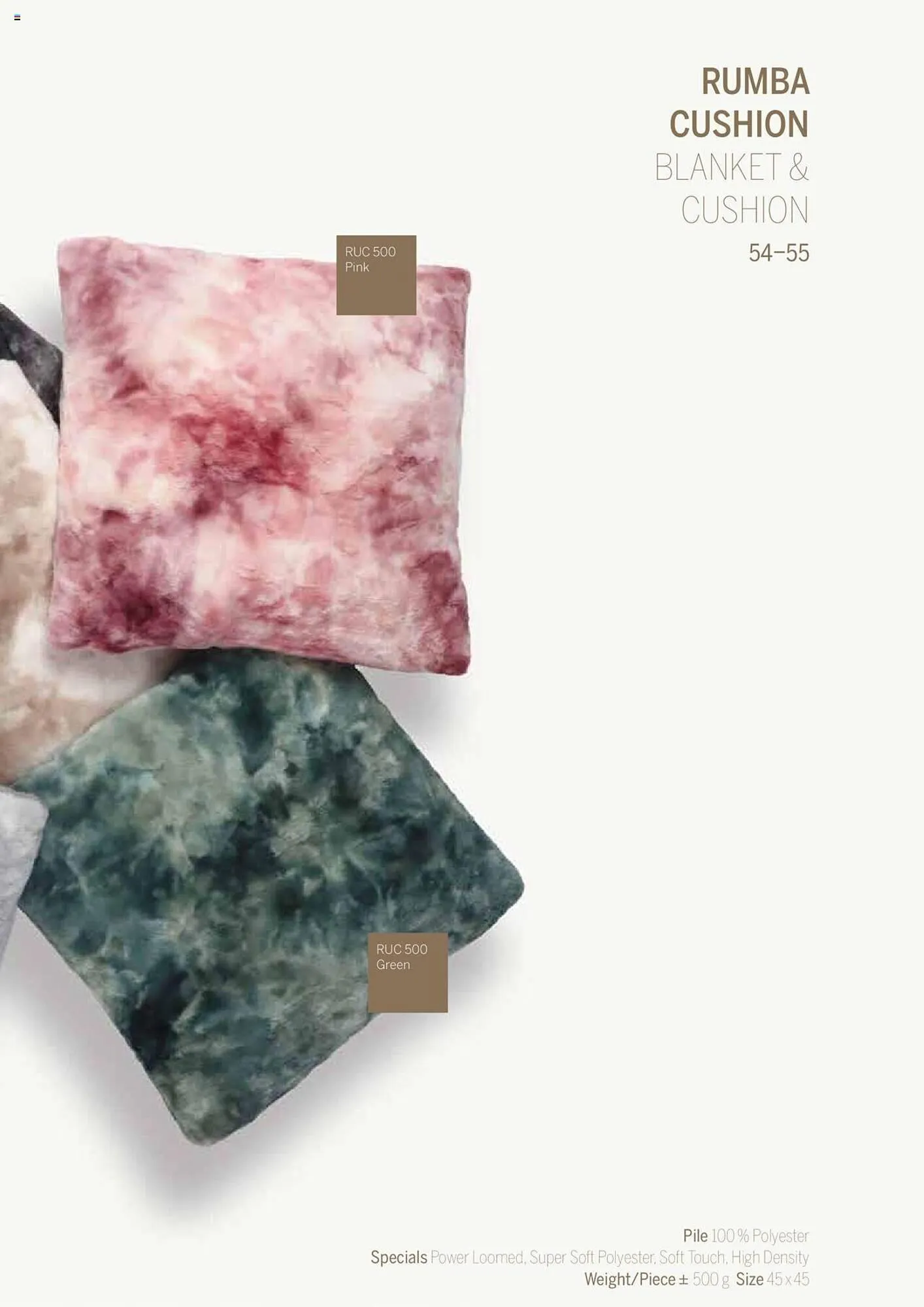 Catalog Proges catalog de la 31 ianuarie până la 31 decembrie 2024 - Revista Pagina 55