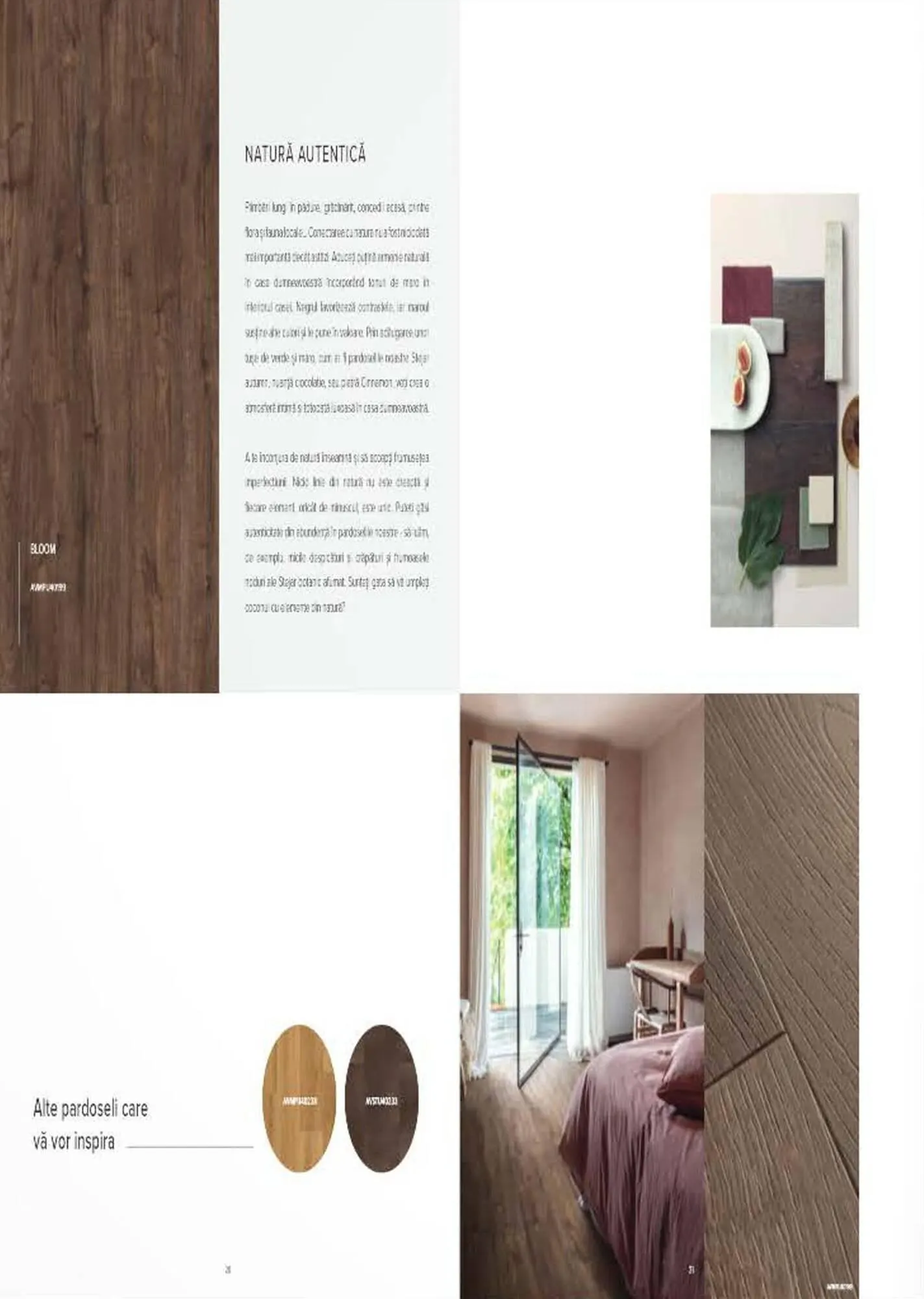 Catalog Proges catalog de la 27 octombrie până la 31 decembrie 2023 - Revista Pagina 12