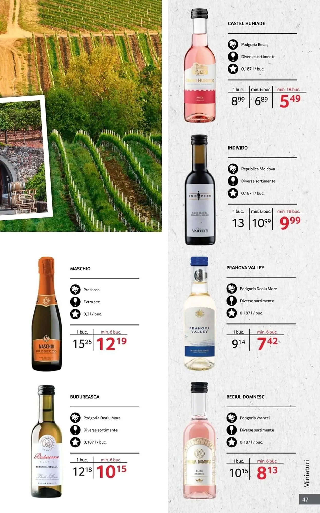 Catalog Catalog Selgros de la 1 octombrie până la 31 octombrie 2025 - Revista Pagina 47