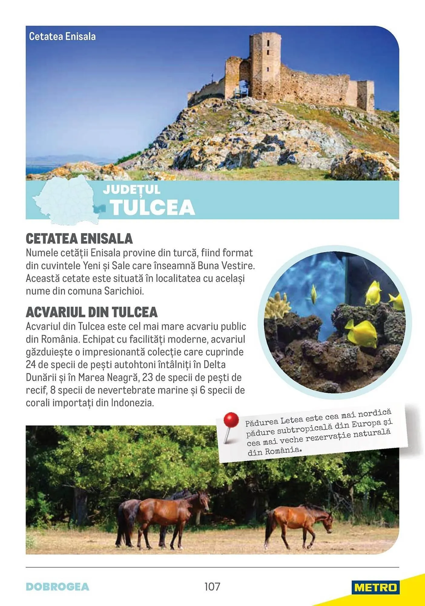 Catalog Catalog Metro de la 9 aprilie până la 31 decembrie 2025 - Revista Pagina 107