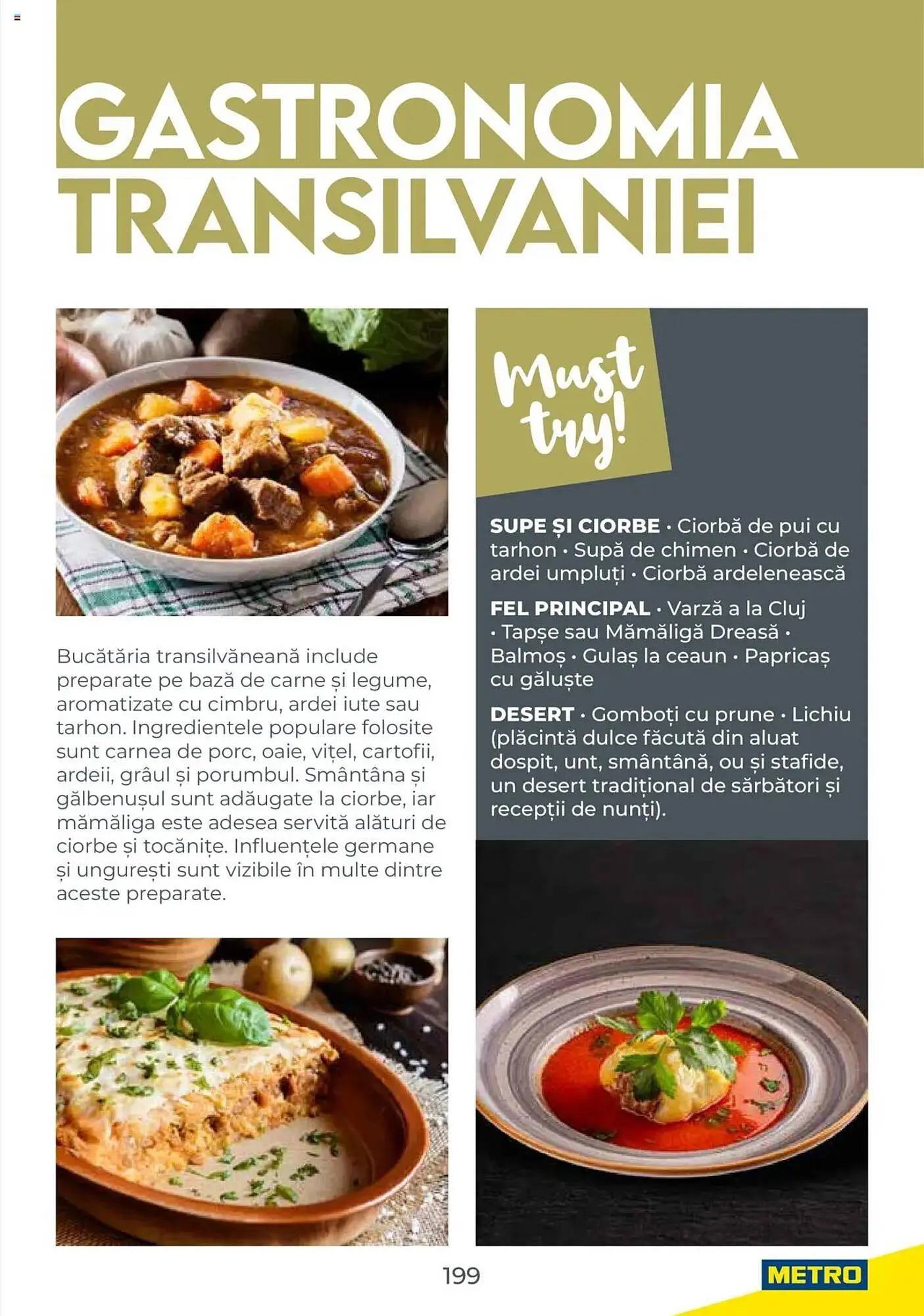 Catalog Catalog Metro de la 31 iulie până la 31 decembrie 2026 - Revista Pagina 199