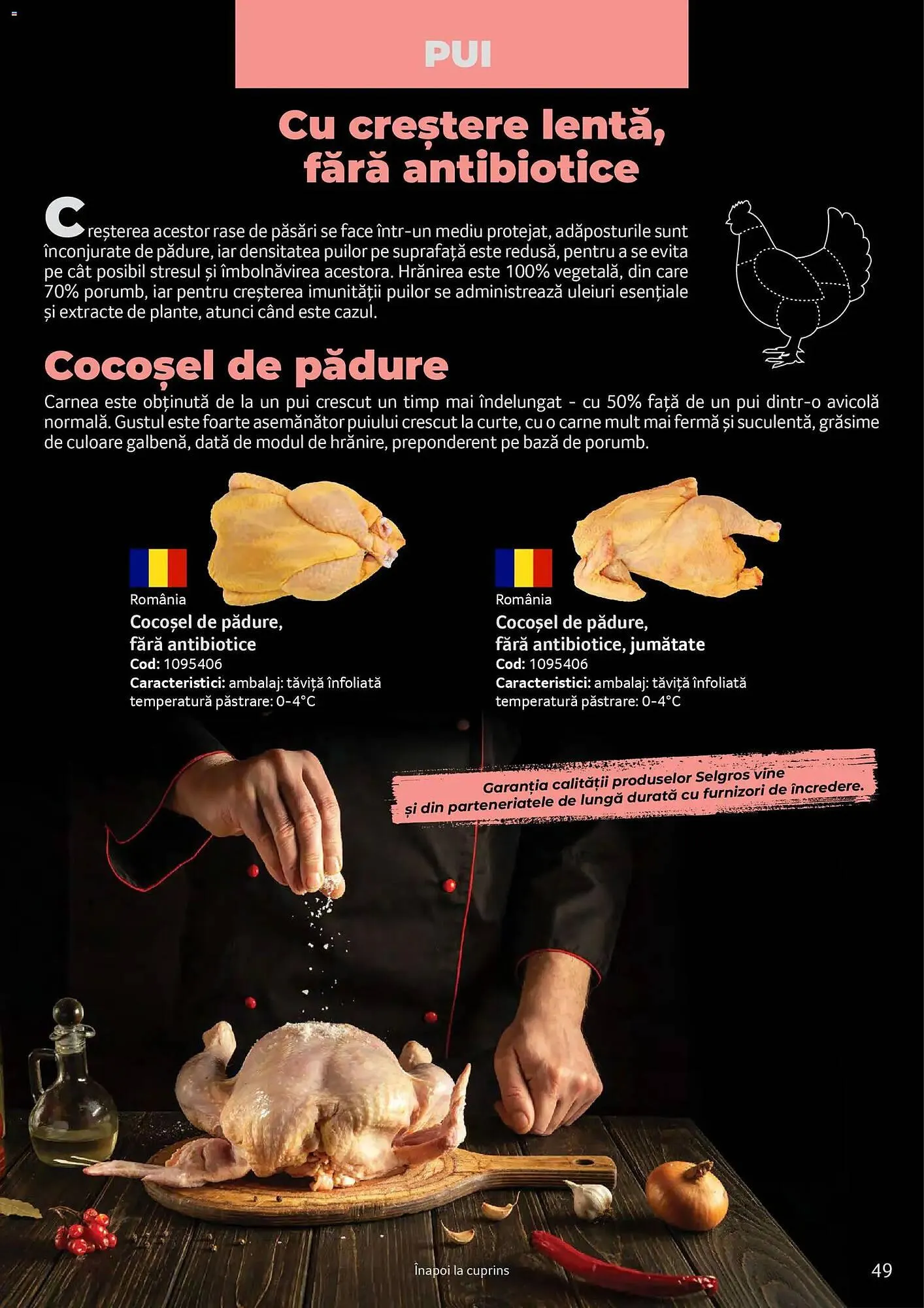 Catalog Catalog Selgros de la 24 martie până la 31 martie 2027 - Revista Pagina 49