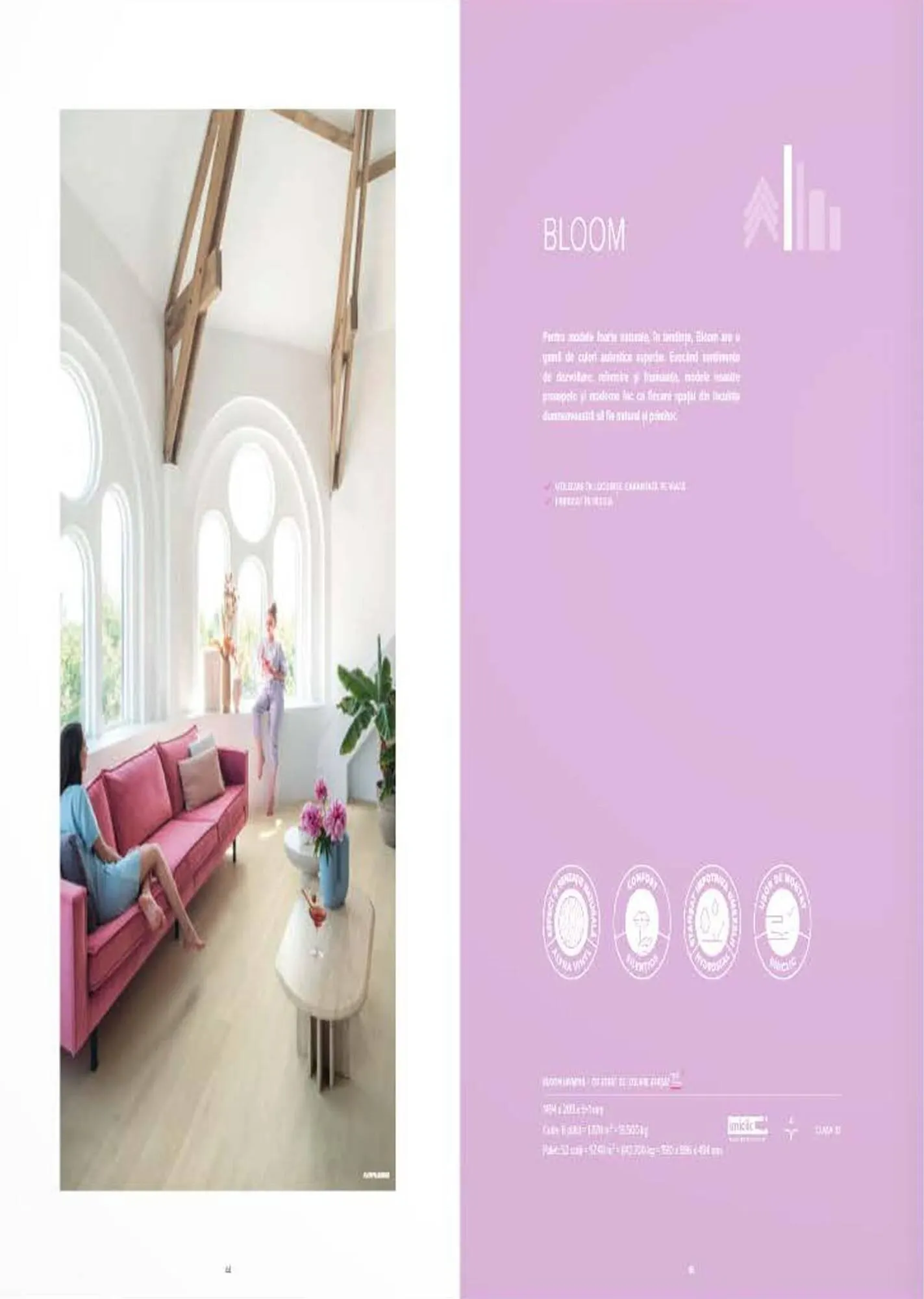 Catalog Proges catalog de la 27 octombrie până la 31 decembrie 2023 - Revista Pagina 24