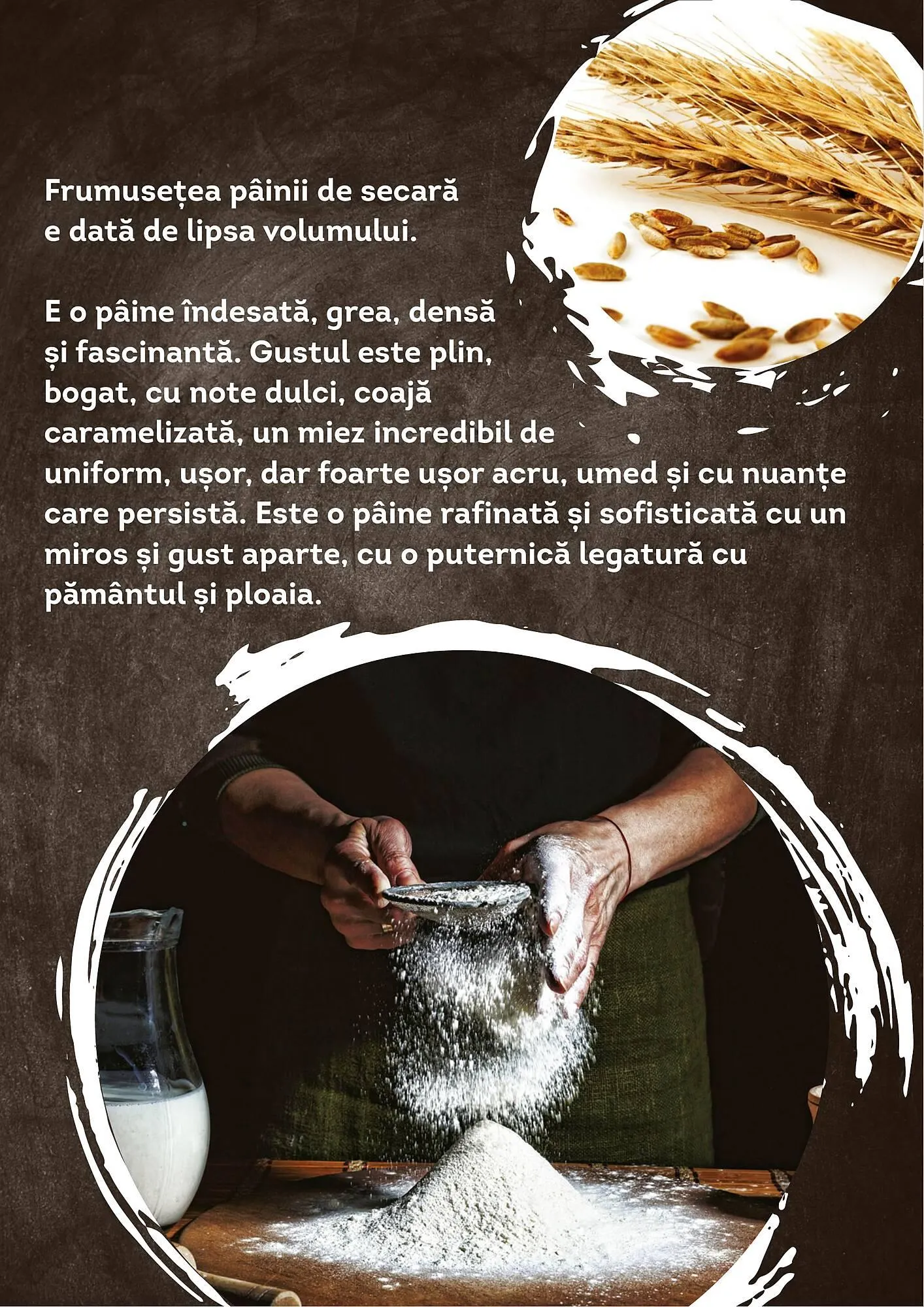 Catalog Cora catalog de la 12 iunie până la 31 decembrie 2023 - Revista Pagina 7