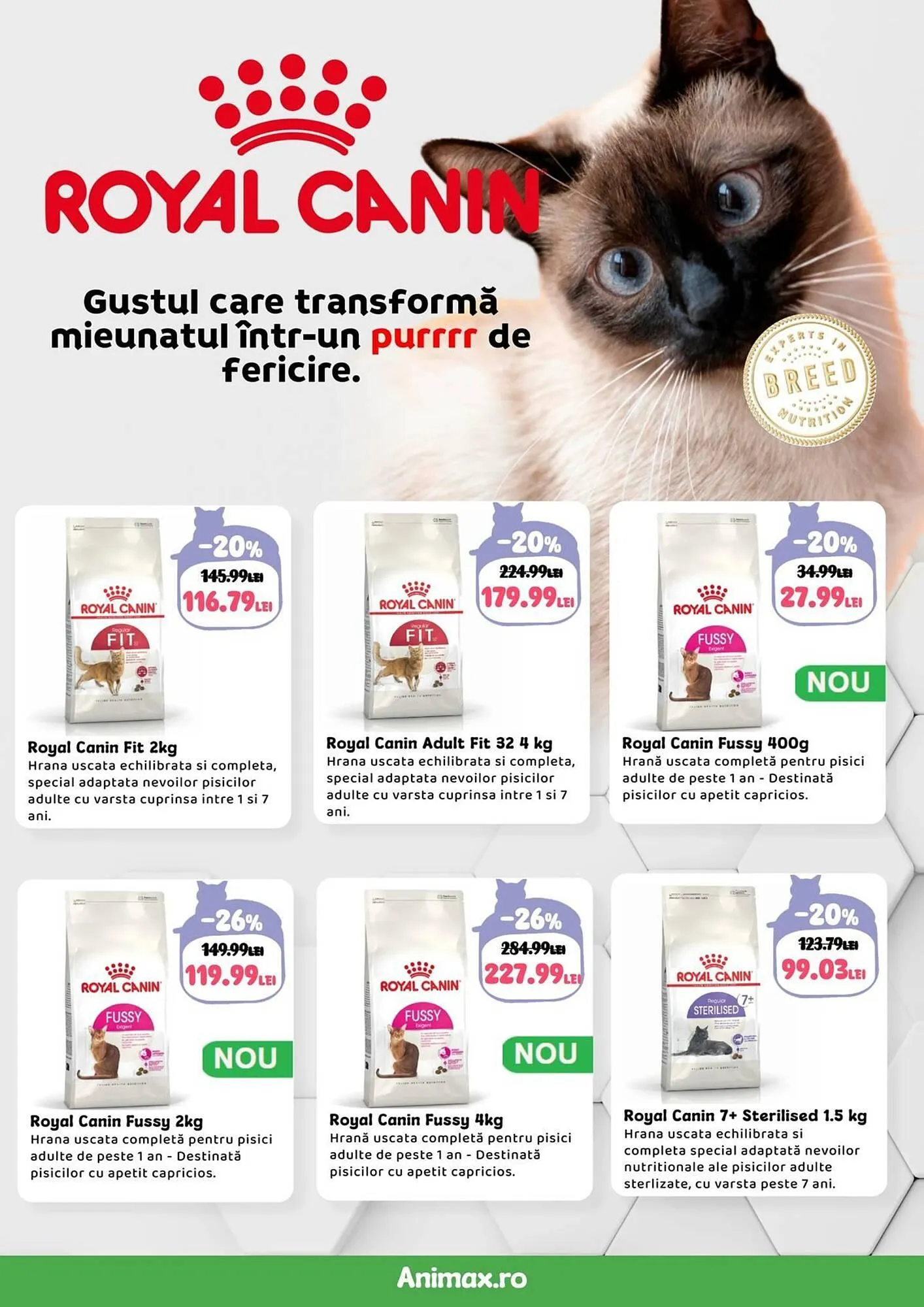 Catalog Magazine Animax de la 4 decembrie până la 4 ianuarie 2026 - Revista Pagina 19