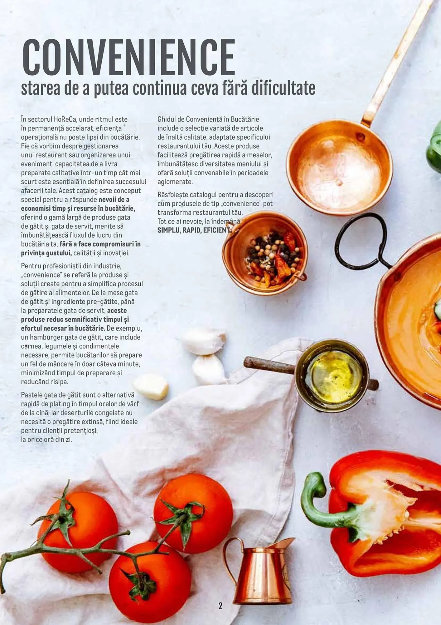 Catalog Catalog Metro de la 9 aprilie până la 31 decembrie 2025 - Revista Pagina 2