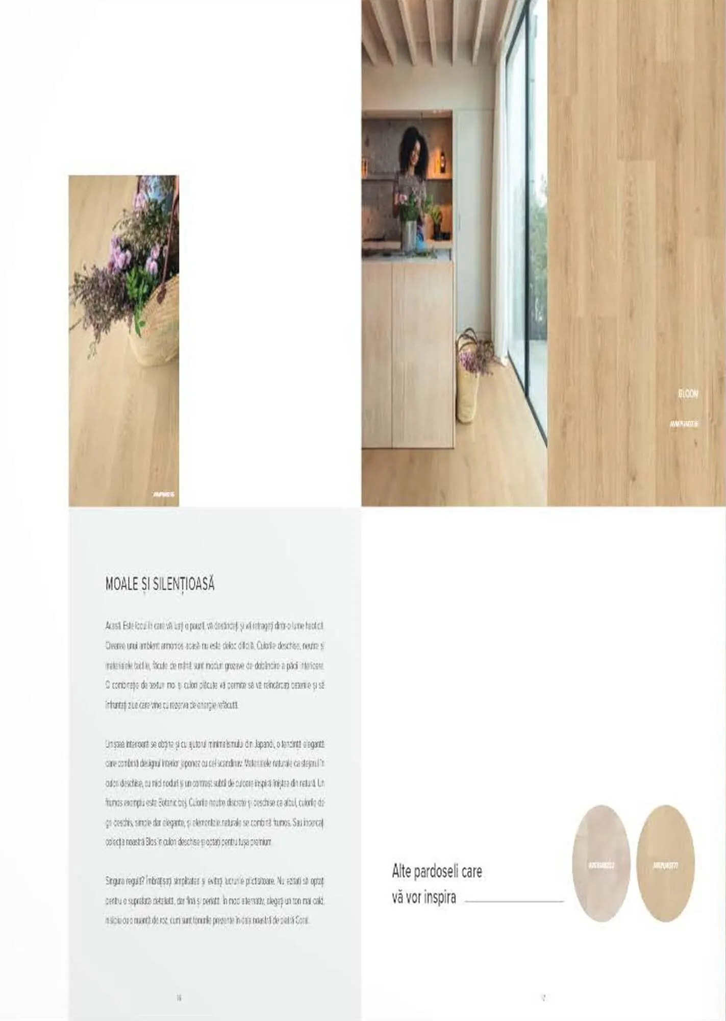 Catalog Proges catalog de la 27 octombrie până la 31 decembrie 2023 - Revista Pagina 10