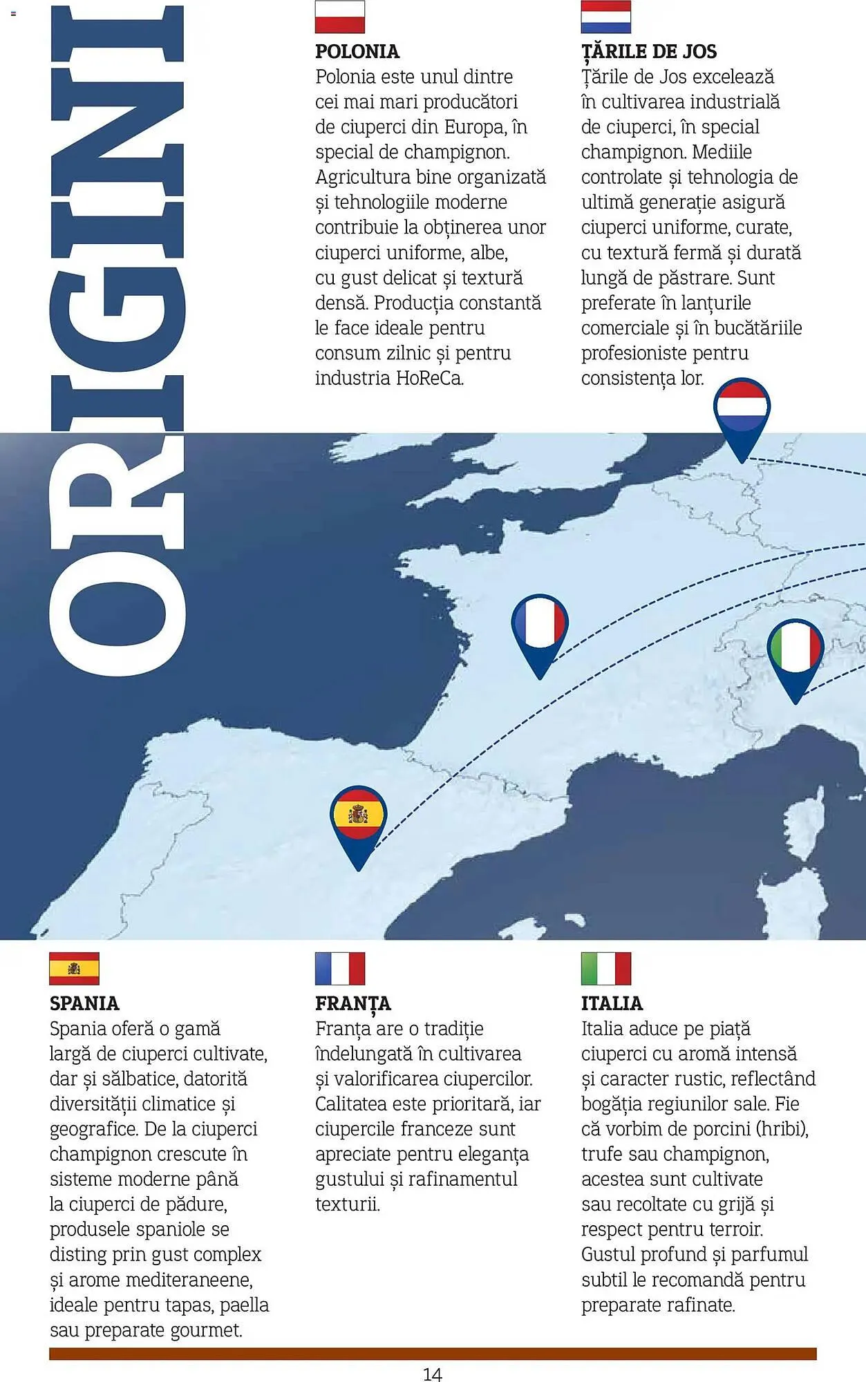 Catalog Catalog Metro de la 9 noiembrie până la 31 decembrie 2026 - Revista Pagina 14