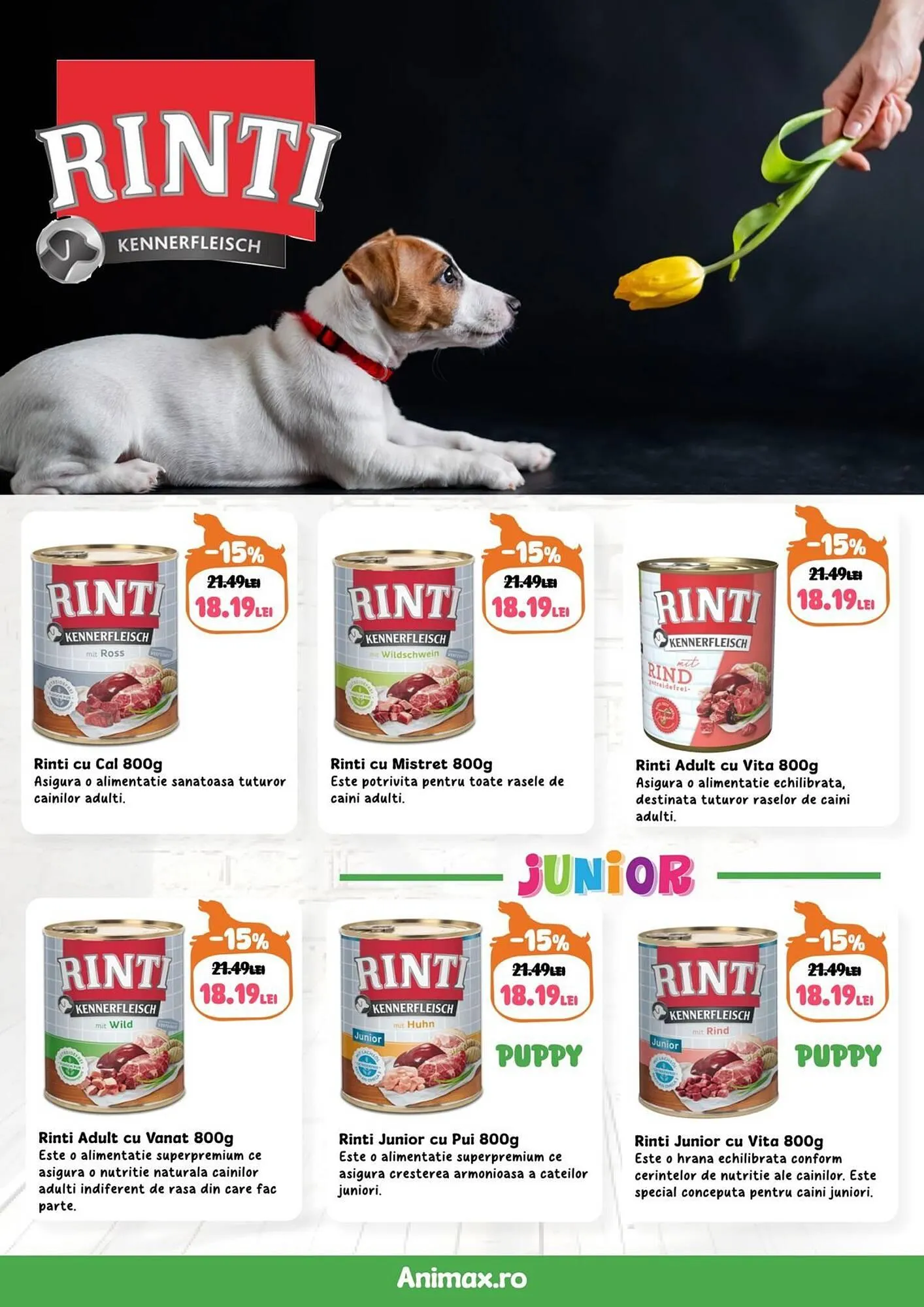 Catalog Catalog Animax de la 4 martie până la 31 martie 2025 - Revista Pagina 3