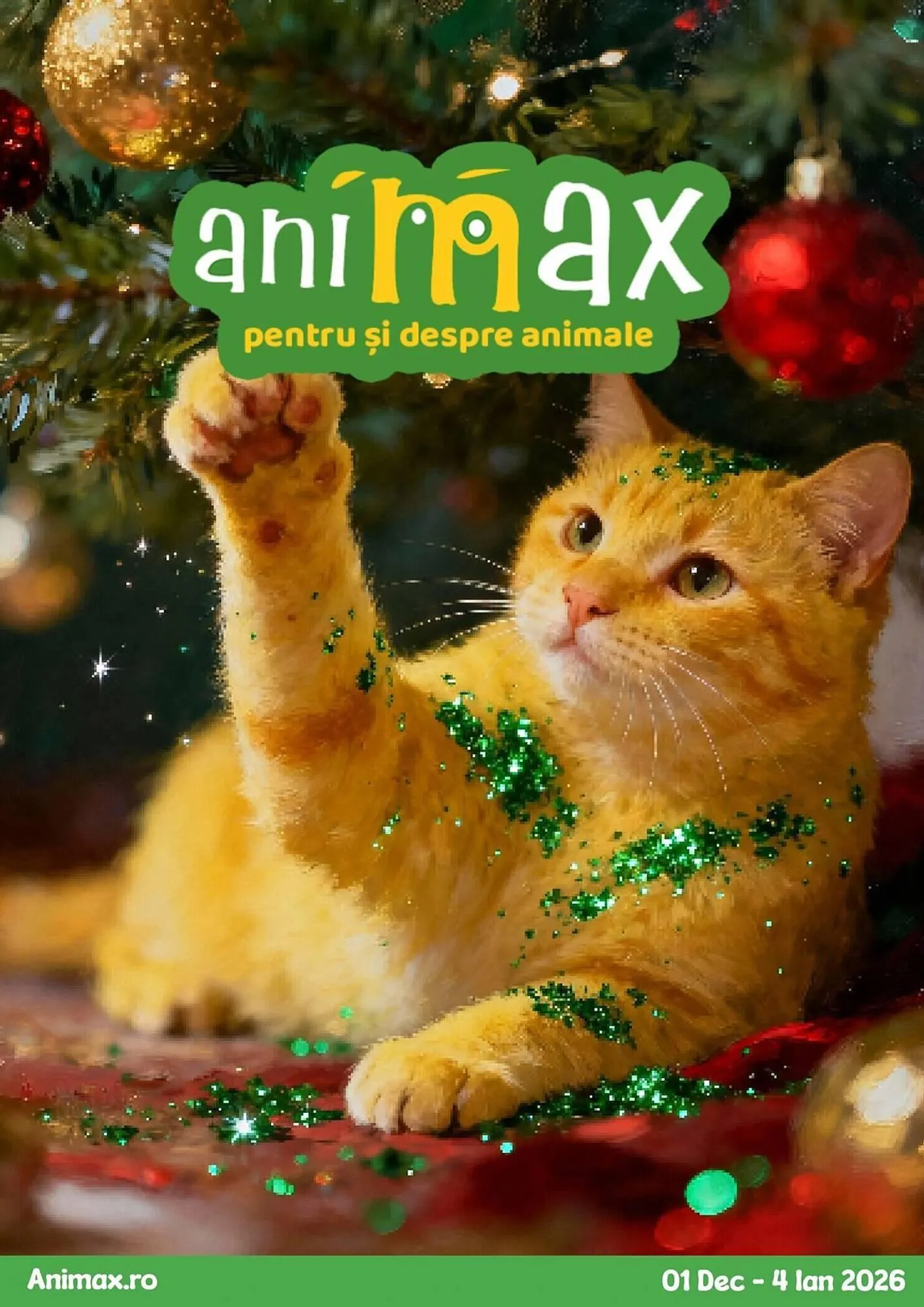 Catalog Magazine Animax de la 4 decembrie până la 4 ianuarie 2026 - Revista Pagina 1