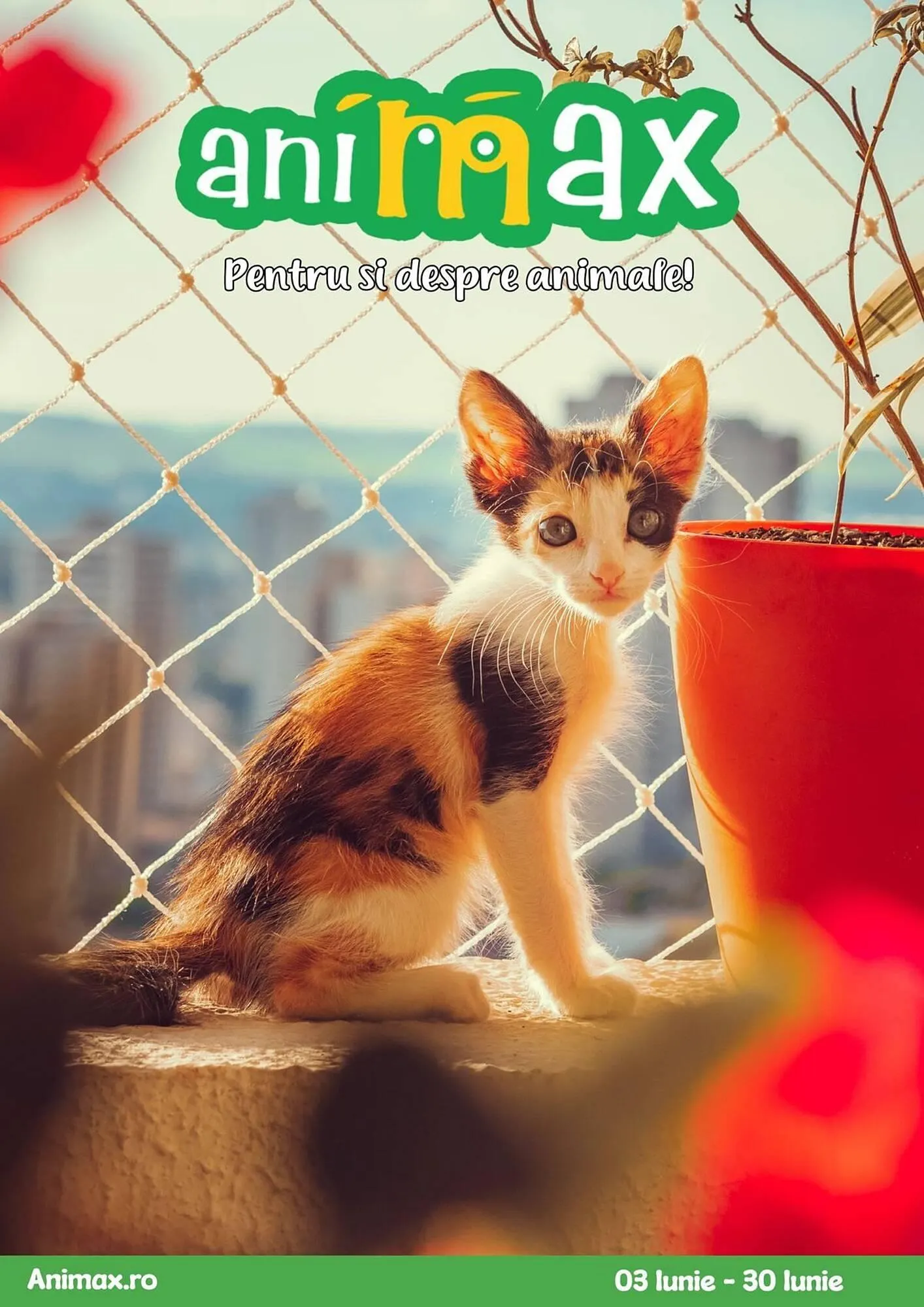 Catalog Catalog Animax de la 3 iunie până la 30 iunie 2025 - Revista Pagina 1