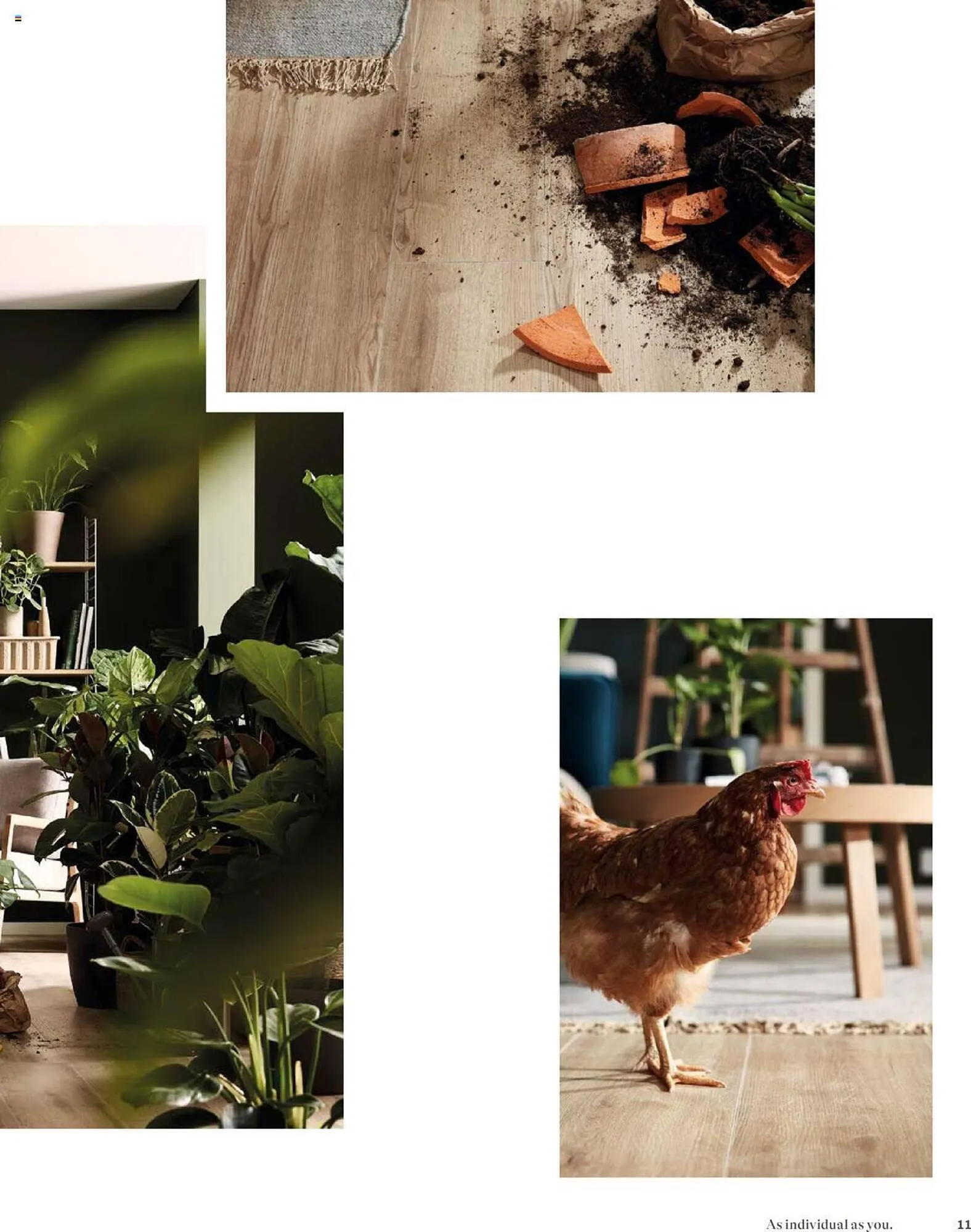 Catalog Proges catalog de la 18 septembrie până la 31 decembrie 2023 - Revista Pagina 11