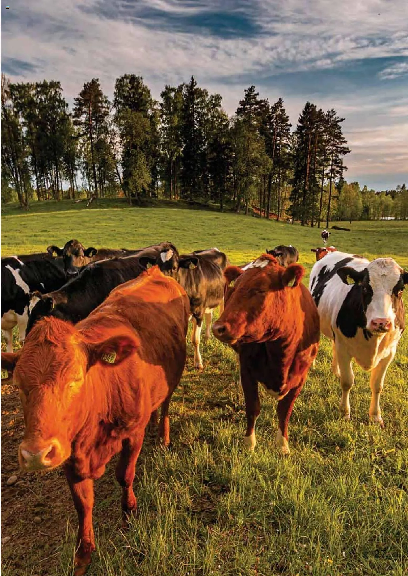 Catalog Selgros catalog de la 27 aprilie până la 31 decembrie 2023 - Revista Pagina 27